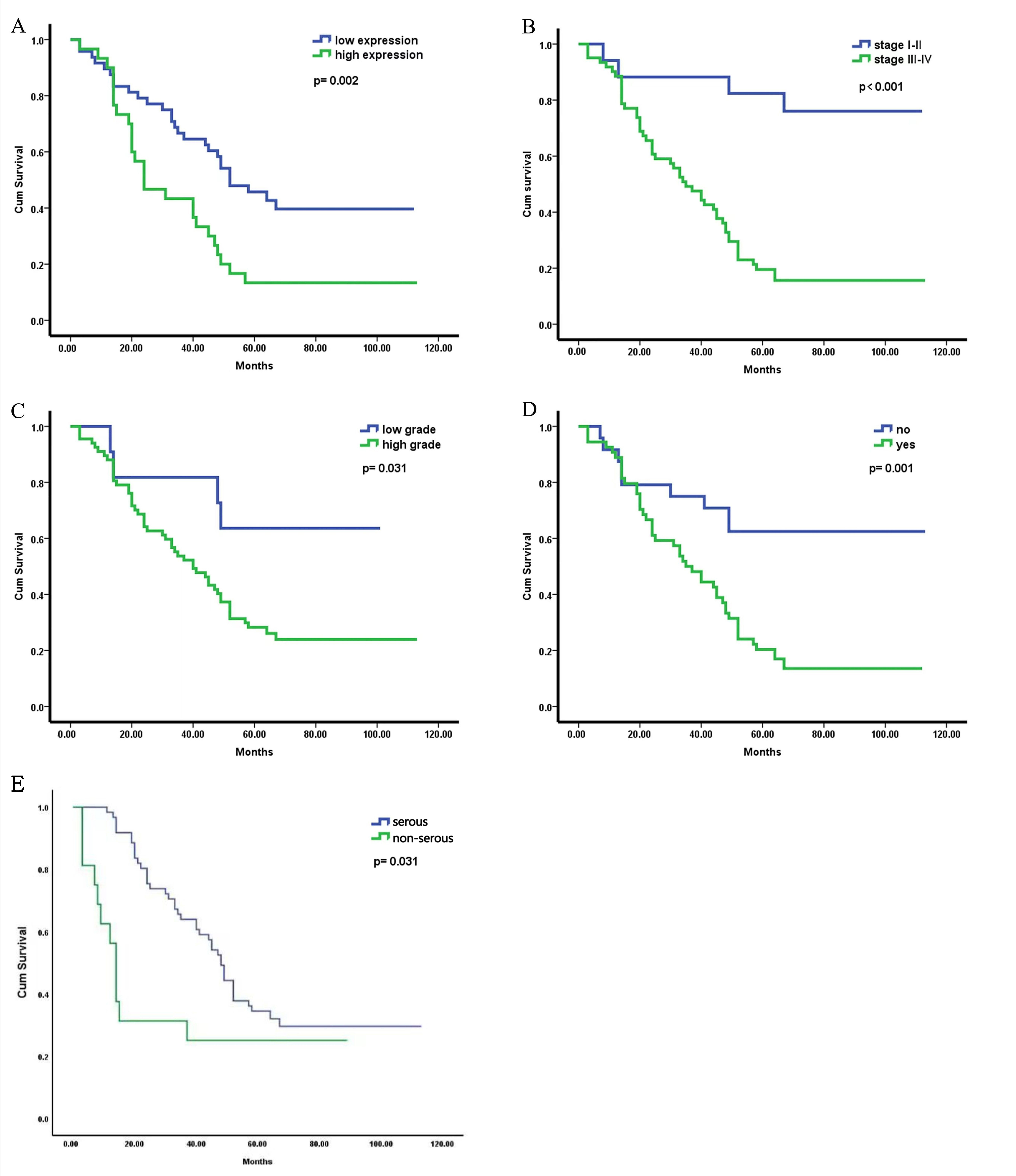 Overrall suivival (OS)
analyzed by Kaplan-Meier method. OS examined by Kaplan-Meier analysis for Ki-67
expression (A), stage (B), histological grade (C), ascites (D) and Serous
carcinoma (E).