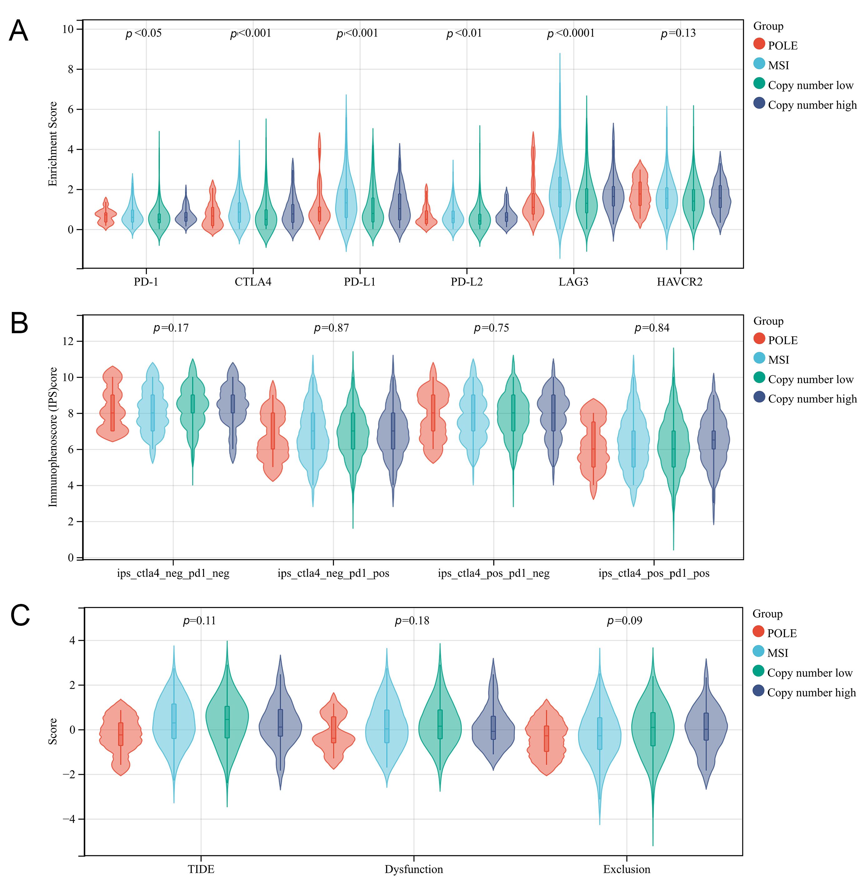 Immune activity analysis of the four molecular subtypes in EC.
(A) The infiltration level of 6 TILs in four molecular subtypes based on TIMER
database. (B) Correlation between immune checkpoint and four molecular subtypes,
including PD-1, CTLA4, PD-L1, PD-L2, LAG3 and HAVCR2. (C) The correlation between
four molecular subtypes and Stromal Score, Immune Score and Estimate Score in
TCGA-UCEC. POLE: polymerase-epsilon; MSI: microsatellite
instability; neg: negtive; pos: positive.