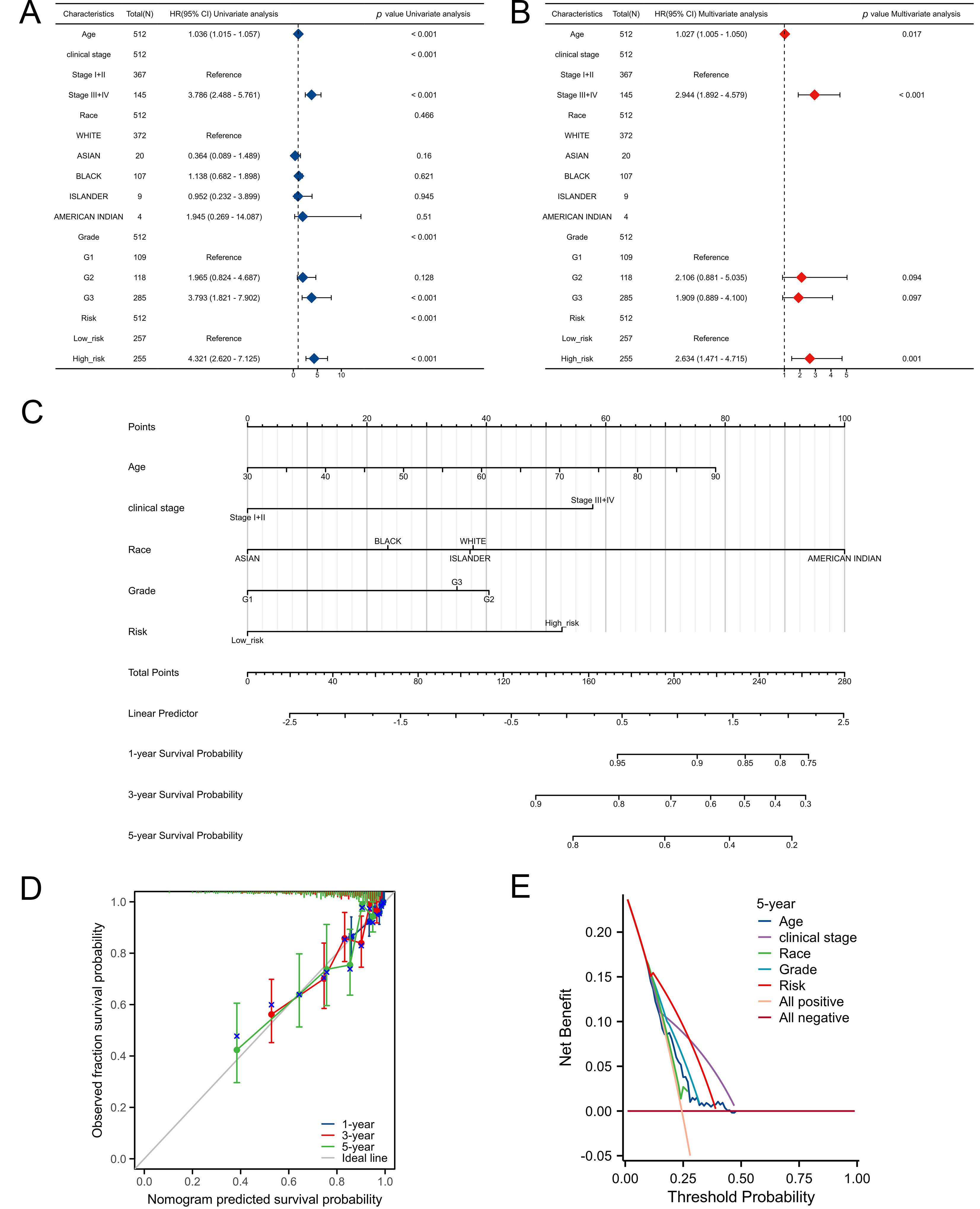 Construction and validation of a nomogram. Univariate (A) and
multivariate cox regression (B) to assess the independence of the immune-related
metabolic gene prognostic signature (IRMPS). (C) Nomogram for predicting the
likelihood of 1-, 3- and 5-year OS of UCEC patients. (D) Nomogram calibration
curves to forecast the likelihood of OS at 1-, 3- and 5-year. (E) The decision
curve analysis (DCA) curves of IRMPS and other clinical characteristics for
5-year OS in UCEC patients. CI: Confidence Interval; HR: Harzad Rate.