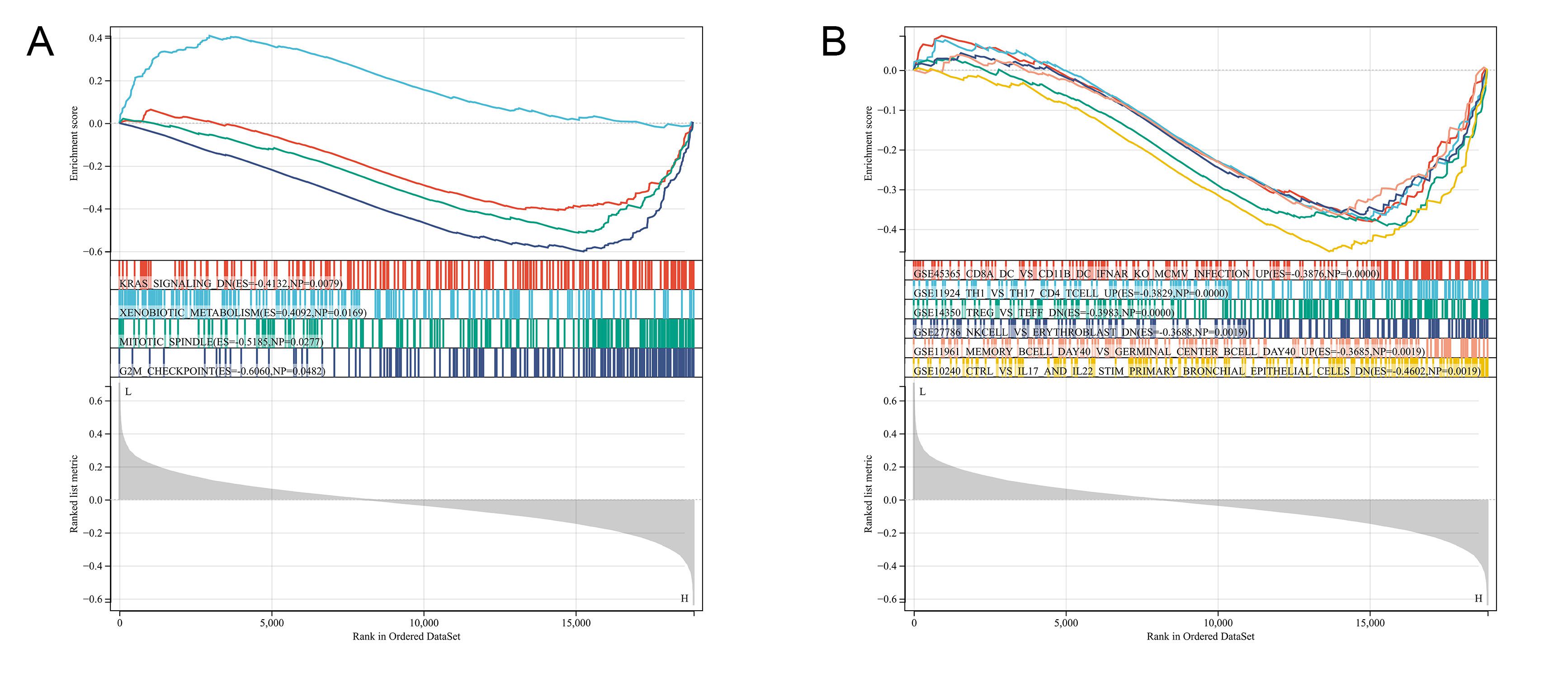 Gene set enrichment analysis. (A) Gene sets of hallmarks. (B)
Gene sets of immune activity. L: low-risk group; H: high-risk group; ES:
enrichment score; NP: nominal p-value.