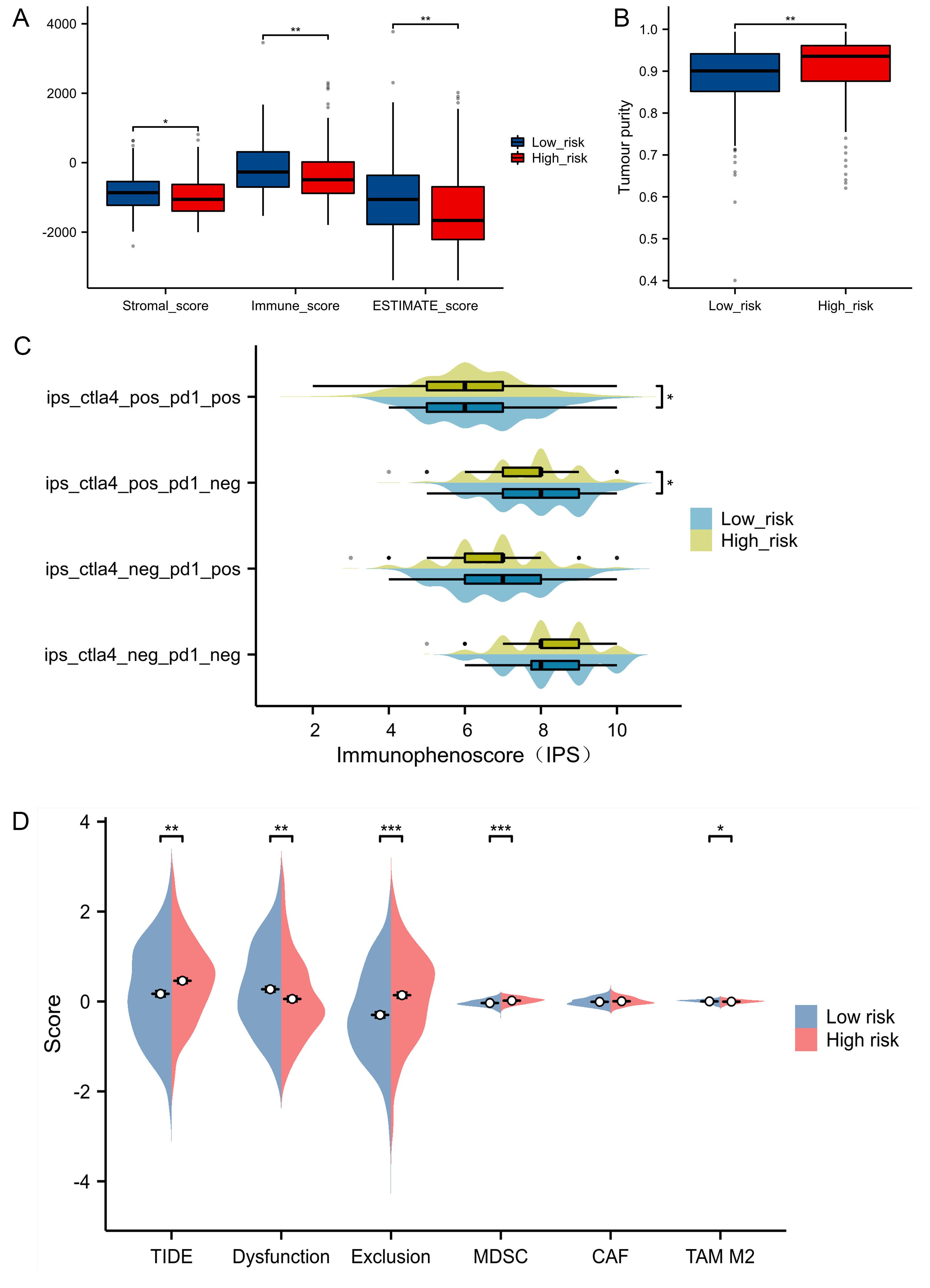 Analysis of immunotherapy response of EC patients. (A) The
correlation between IRMPS model and Stromal Score, Immune Score and Estimate
Score in TCGA-UCEC. (B) The correlation between IRMPS model and tumor purity. (C)
The correlation between IRMPS model and IPS, IPS of PD-1/PD-L1 blocker, IPS of
CTLA4 blocker, as well as IPS of CTLA4 and PD-1/PD-L1 blocker via TCIA
website. (D) TIDE signatures predict checkpoint inhibitors (ICIs) immunotherapy
response, along with dysfunction score, exclusion score, MDSC score, CAF score,
TAM M2 score in two risk groups. *p < 0.05, **p < 0.01,
***p < 0.001. TIDE: tumor immune
dysfunction and exclusion; MDSC: myeloid-derived suppressor cell; TAM MS:
tumor-associated macrophage M2; CAF: cancer-associated fibroblasts; pos:
positive; neg: negative.