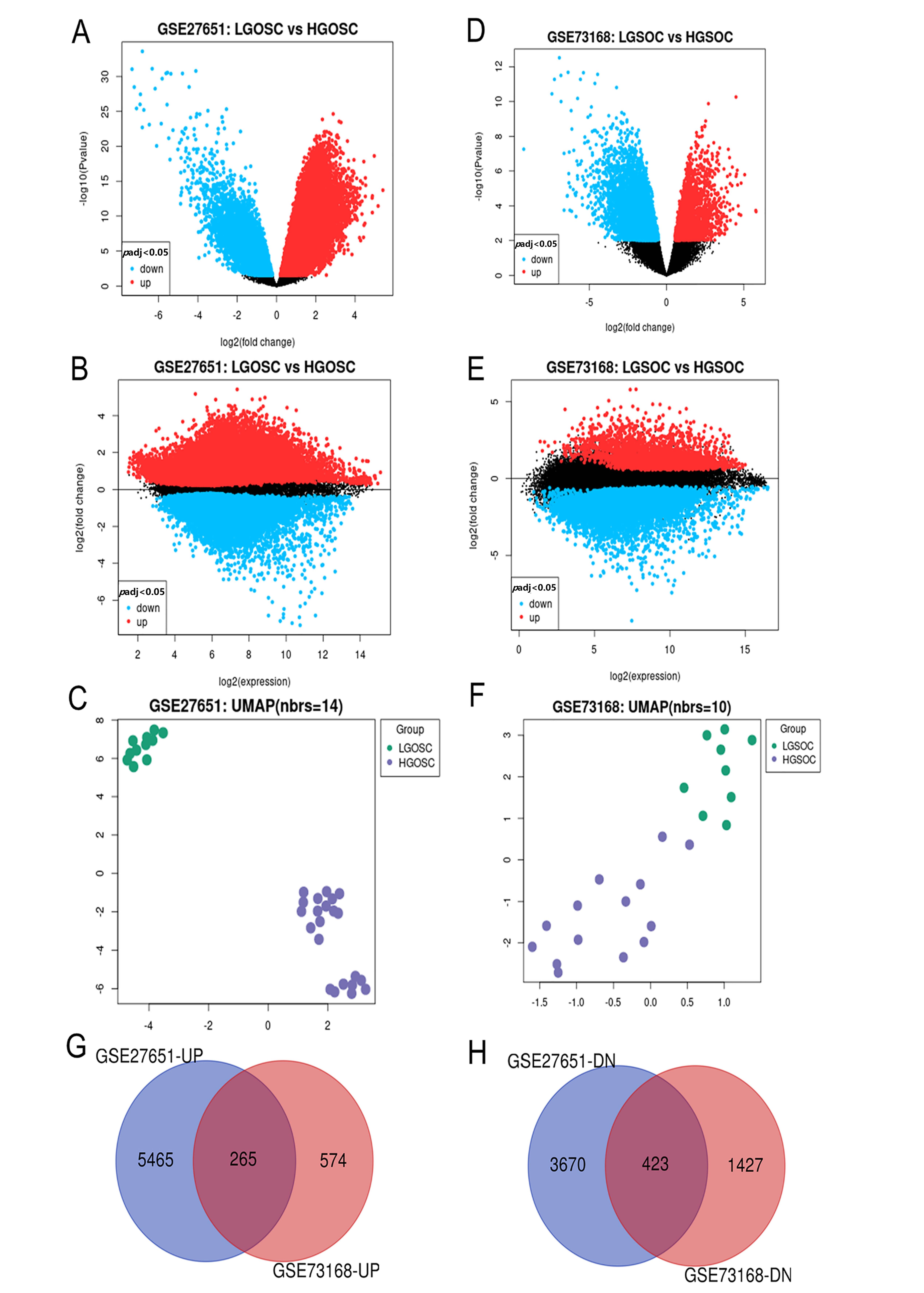 Identification of
DEGs in GSE27651 and GSE73168 from GEO
datasets. (A,B) Volcano plots of mRNA expression in GSE27651 and
GSE73168. (C,D) Mean difference plot of mRNA
expression in GSE27651 and GSE73168. Blue: significantly downregulated DEGs;
Black: non-DEGs; Red: significantly upregulated DEGs. (E,F) UMAP
plot of the sample distribution of GSE27651 and GSE73168. Green: LGSOC; Purple:
HGSOC. (G,H) Venn analysis of DEGs in the two expression profiles. “Up”
indicates significantly upregulated DEGs in HGSOC, and “DN” indicates
significantly downregulated DEGs in HGSOC. Blue: significantly up-regulated or
down-regulated genes in GSE27651; Yellow: significantly up-regulated or
down-regulated genes in GSE731681. Red: Differentially expressed genes that were
up-regulated or down-regulated in the two datasets and were defined as the
differentially expressed genes in the subsequent analysis. HGSOC: high-grade
serous ovarian cancer; LGSOC: low-grade serous ovarian cancer; UMAP: Uniform
Manifold Approximation and Projection.