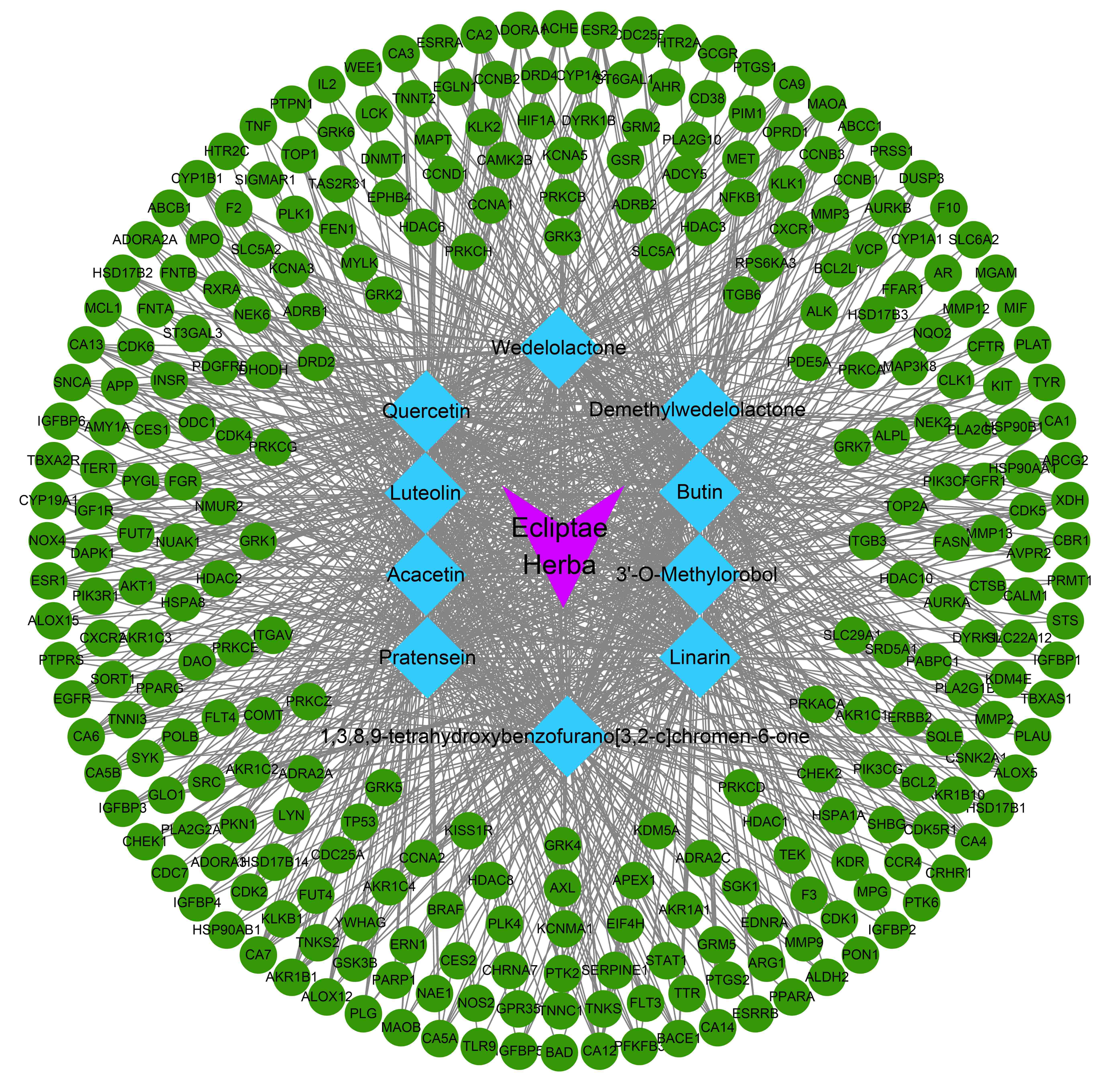 Network pharmacology identifies ten bioactive compounds and 290
target genes of Ecliptae Herba (EH). Purple node, EH; blue node, the bioactive
compounds; green node, compound-related target genes; grey line, the interaction
of each node.