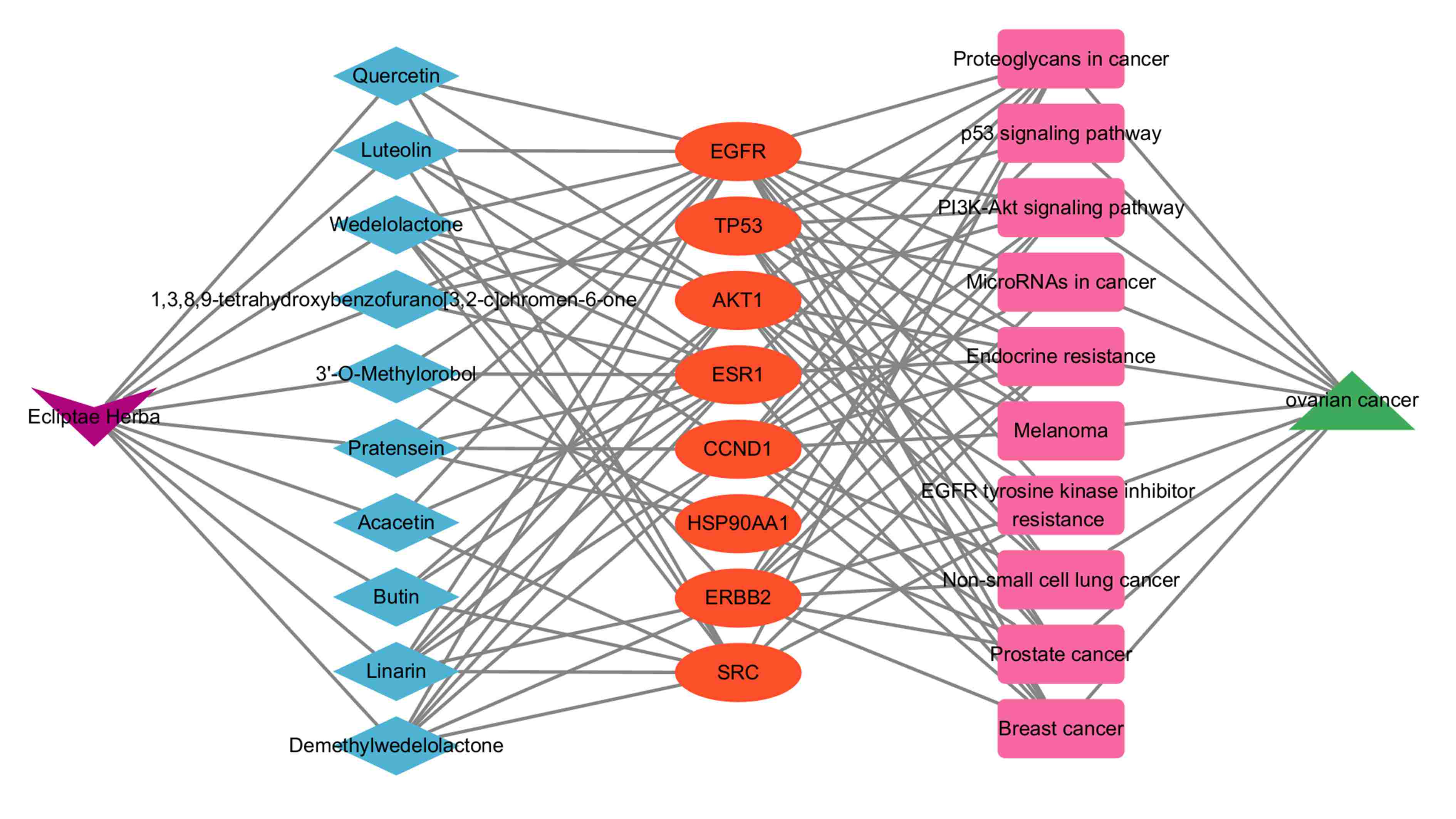 Drug-compound-target-pathway-disease network of Ecliptae Herba
(EH) in Ovarian cancer treatment is visualized. Purple node, EH; blue node, the
ten bioactive compounds; red node, eight key target genes; pink node, top ten
Kyoto Encyclopedia of Genes and Genomes (KEGG) pathways; green node, ovarian
cancer; grey line, the interaction of each node.