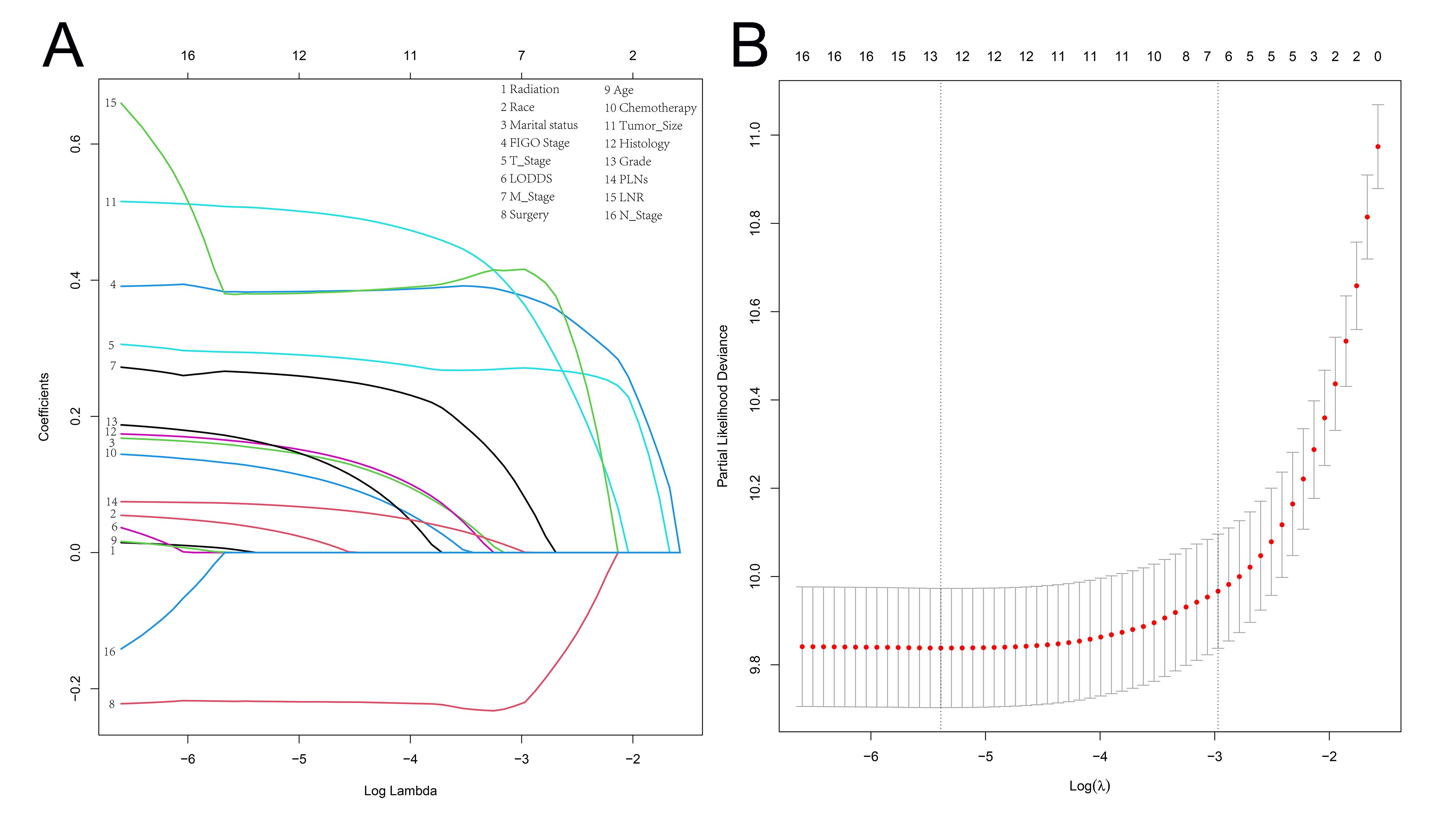 LASSO Regression Analysis for Factor Screening. (A) LASSO
regression coefficient profiles of the variables were generated by plotting
against the log (λ) sequence. A total of 12 non-zero coefficients were
identified and used to construct the nomogram. (B) Tuning parameter selection in
LASSO regression was performed using 10-fold cross-validation. The likelihood of
deviance was plotted as a function of log (λ). The optimal values,
determined based on the 1-standard error criteria, are indicated by the dotted
vertical lines.