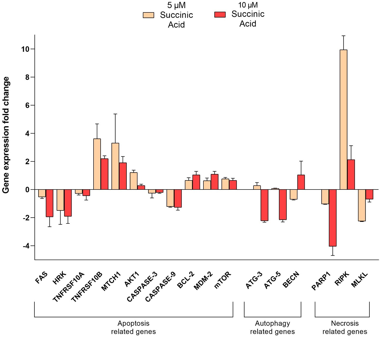 Gene expression analysis of CRL-2923 cells.FAS: Fas Cell Surface Death Receptor; HRK: Harakiri; BCL2 Interacting Protein; TNFRSF10A: Tumour necrosis factor ligand receptor superfamily member 10a; TNFRSF10B: Tumour necrosis factor ligand receptor superfamily member 10B; MTCH1: Mitochondrial carrier 1; AKT-1: AKT serine/threonine kinase 1; Caspase-3: Cysteine-dependent; aspartate-specific peptidase-3; Caspase-9: Cysteine-dependent; aspartate-specific peptidase-9; BCL-2: B-cell leukemia/lymphoma 2 protein; MDM-2: E3 ubiquitin-protein ligase; mTOR: Mammalian target of rapamycin; ATG3: Autophagy related 3; ATG5: Autophagy related 5; BECN: Beclin; PARP1: Poly (ADP-ribose) polymerase; RIPK: Receptor-interacting serine/threonine kinase 1; MLKL: Mixed lineage kinase domain like pseudokinase.