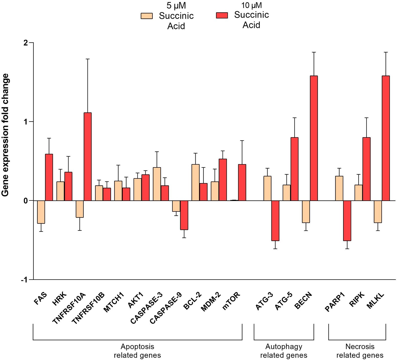 Gene expression analysis of MRC-5 cells.FAS: Fas Cell Surface Death Receptor; HRK: Harakiri; BCL2 Interacting Protein; TNFRSF10A: Tumour necrosis factor ligand receptor superfamily member 10a; TNFRSF10B: Tumour necrosis factor ligand receptor superfamily member 10B; MTCH1: Mitochondrial carrier 1; AKT-1: AKT serine/threonine kinase 1; Caspase-3: Cysteine-dependent; aspartate-specific peptidase-3; Caspase-9: Cysteine-dependent; aspartate-specific peptidase-9; BCL-2: B-cell leukemia/lymphoma 2 protein; MDM2: E3 ubiquitin-protein ligase; mTOR: Mammalian target of rapamycin; ATG3: Autophagy related 3; ATG5: Autophagy related 5; BECN: Beclin; PARP1: Poly (ADP-ribose) polymerase; RIPK: Receptor-interacting serine/threonine kinase 1; MLKL: Mixed lineage kinase domain like pseudokinase.