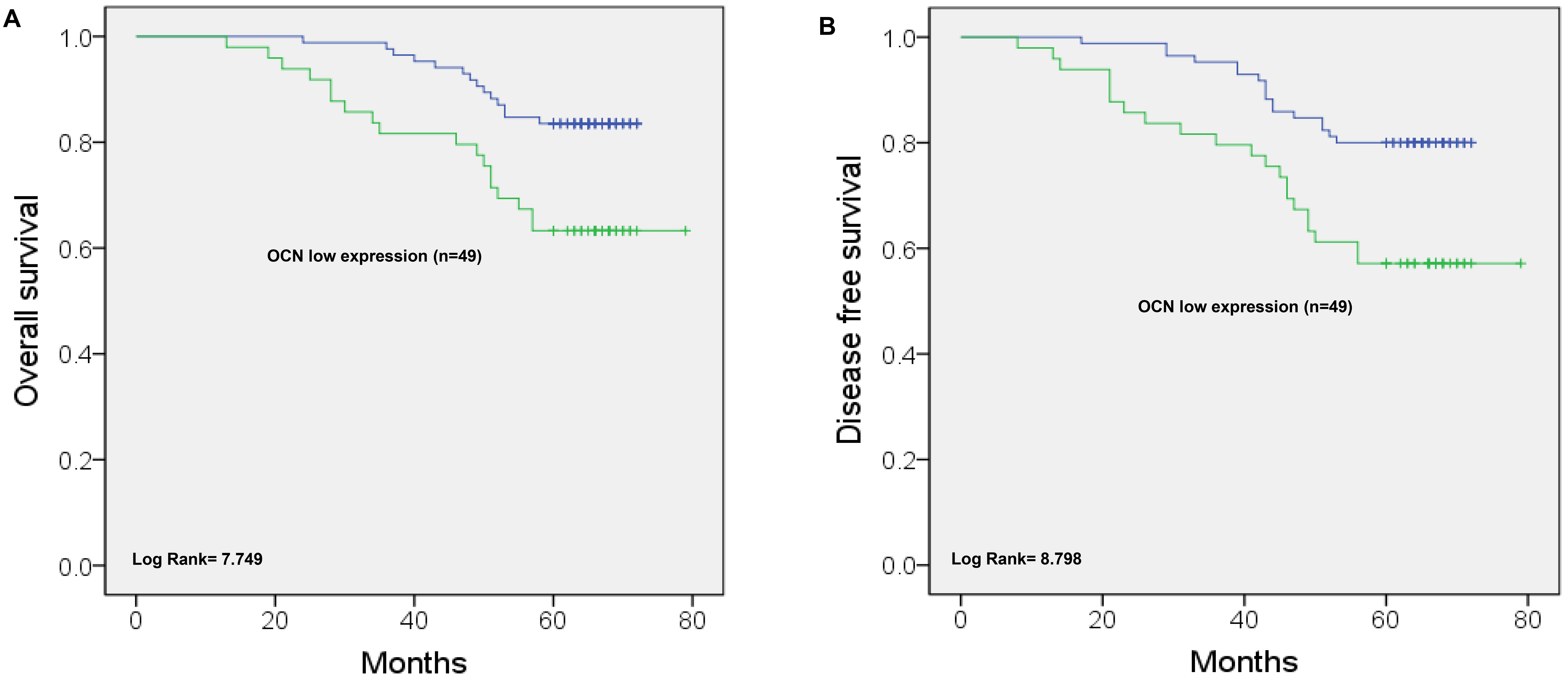 Survival of EC patients is dependent on OCN expression. (A)
Kaplan-Meier analysis of OS. Patients with low OCN expression have a more
inferior OS than those of patients with high OCN expression. (B) Kaplan-Meier
analysis of DFS. Patients with low OCN expression have a poorer DFS than those of
patients with high OCN expression. OS, overall survival; DFS, disease-free
survival.