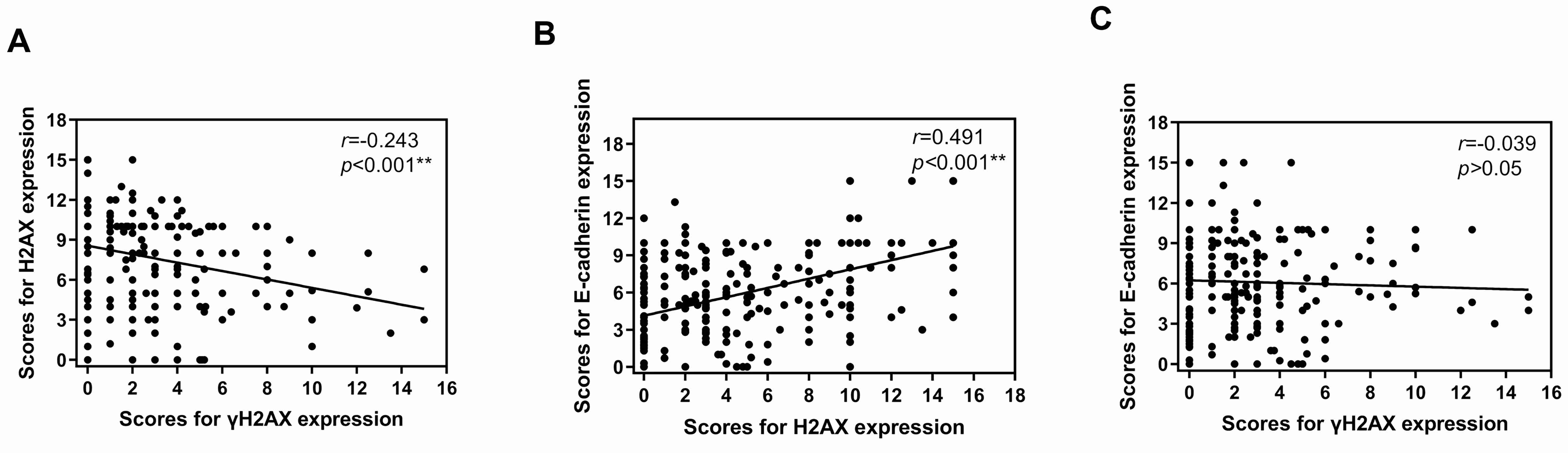 Correlations of γH2AX, H2AX and E-cadherin expression
in central tumors, tumor budding, tumor emboli and metastatic lymph nodes. (A)
Correlation between γH2AX and H2AX. (B) Correlation between H2AX and
E-cadherin. (C) Correlation between γH2AX and E-cadherin. **, p
< 0.01.