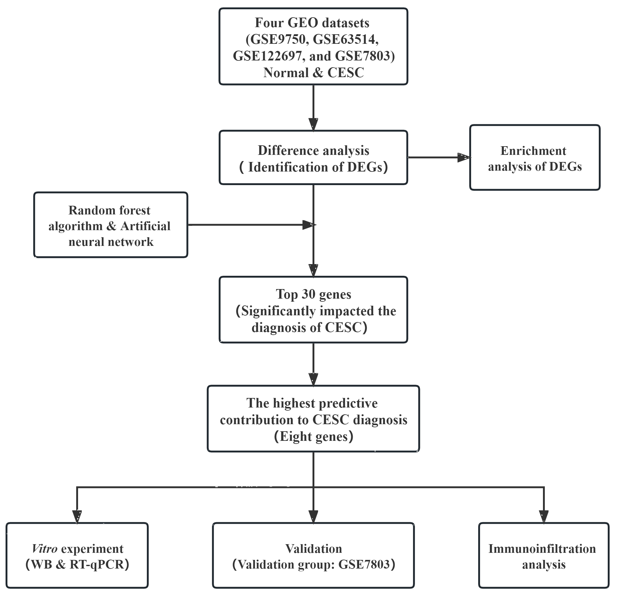 The flowchart of the study design. GEO: Gene Expression
Omnibus; CESC: cervical squamous cell carcinoma; DEGs: differentially expressed
genes; WB: Western blot; RT-qPCR: real-time quantitative polymerase chain
reaction.