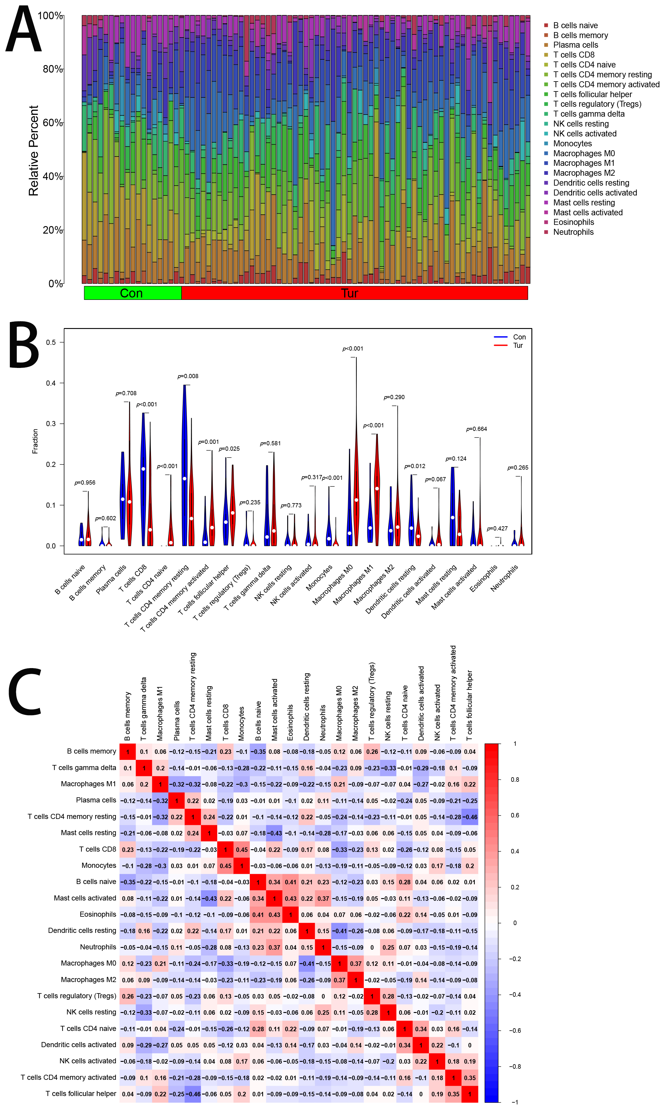 Immunoinfiltration analysis. (A) Two groups of immune cell
infiltration distribution. (B) Difference analysis of immune cells between two
groups. (C) The correlation between immune cells.
