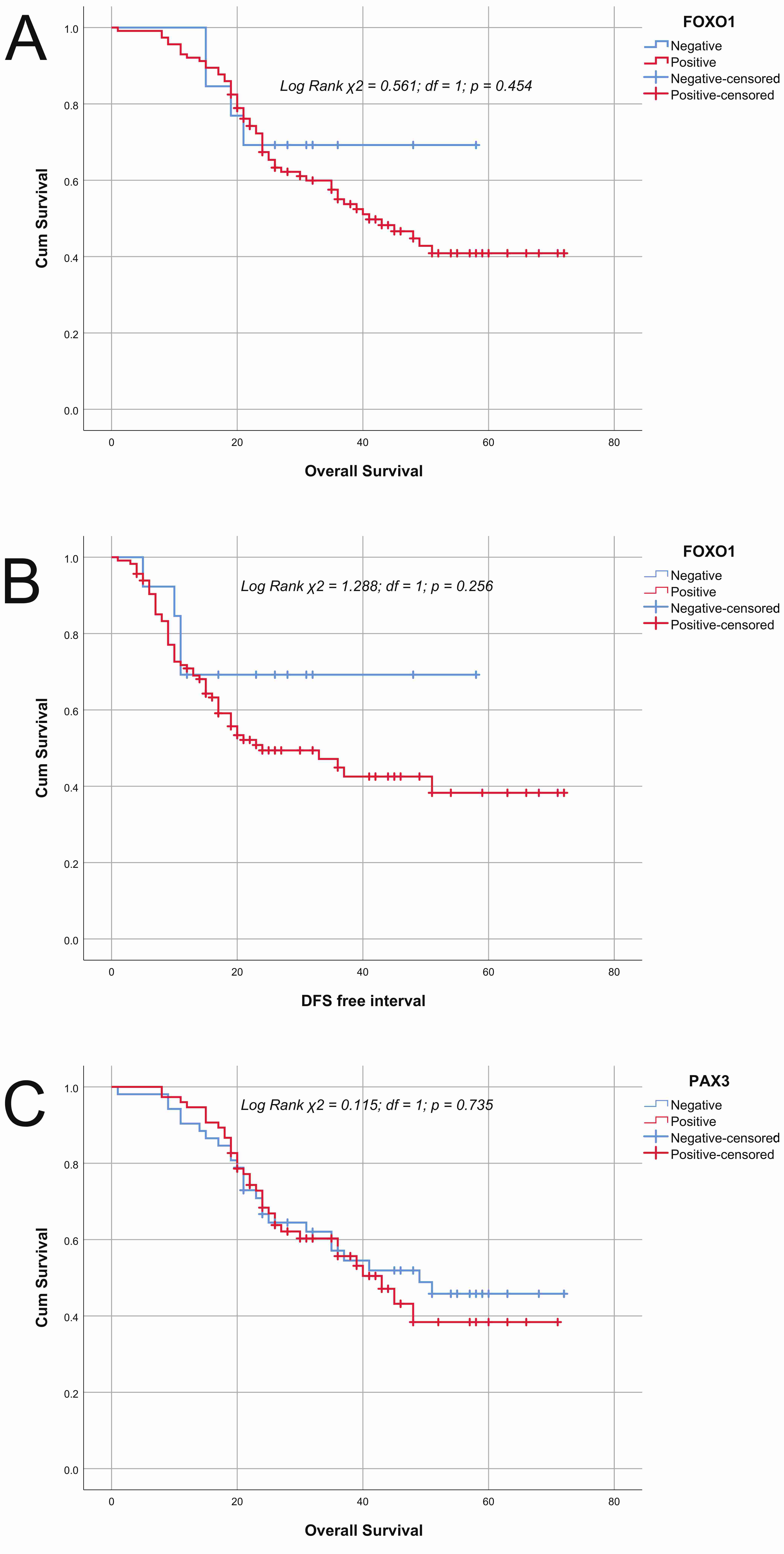 Kaplan-Meier survival curves for patients with high-grade serous
ovarian cancer (HGSOC). HGSOC patients with FOXO1+ (>10% stained tumor cells)
showed better (A,B) overall and disease-free survival (log-rank p =
0.454 and p = 0.256, respectively). HGSOC patients with PAX3+ (>10%
stained tumor cells) have a slightly shorter (C) overall survival (log-rank
p = 0.735). FOXO1: Forkhead box protein O1; PAX3: paired box 3; DFS:
disease-free survival; df: degrees of freedom.