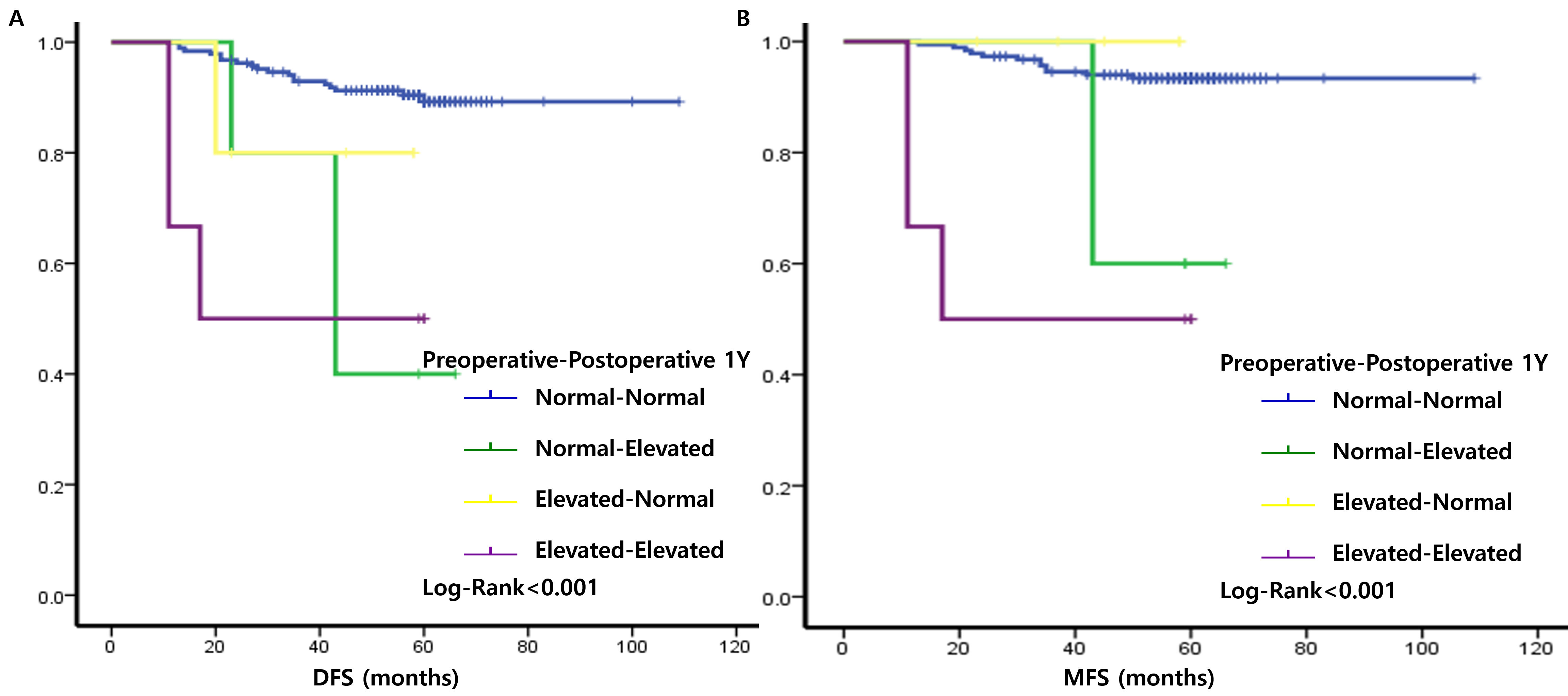 Kaplan-Meier curve according to subgroups of CA15-3 level 
change. (A) Disease-free survival. (B) Metastasis-free survival. 1Y: 1 year; 
DFS: Disease-free survival; MFS: Metastasis-free survival.