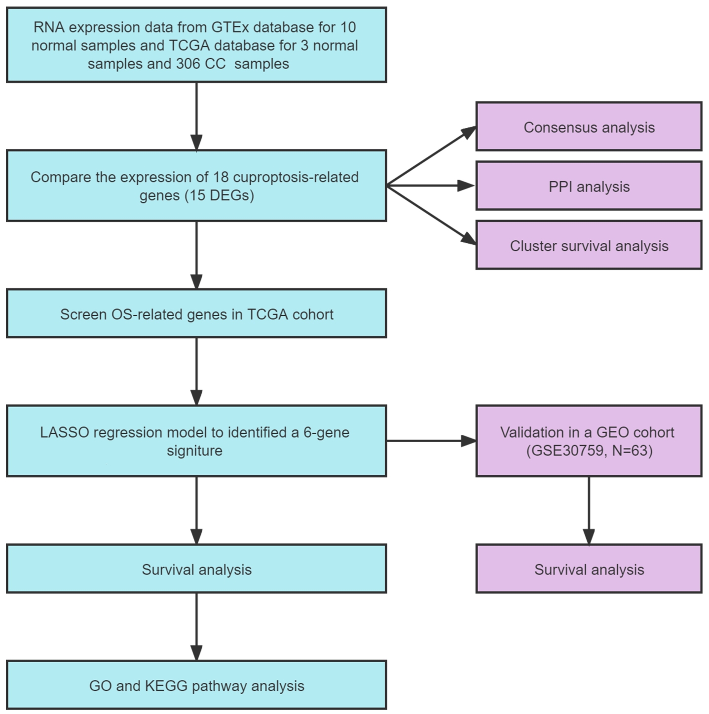 The specified workflow picture of information
dissection. GTEx: Genotype Tissue Expression; TCGA: The Cancer Genome Atlas; CC:
Cervical carcinoma; DEGs: differentially expressed genes; OS: overall survival;
LASSO: Least Absolute Shrinkage and Selection Operator; GO: Gene Ontology; KEGG:
Kyoto Encyclopedia of Genes and Genomes; PPI: protein-protein interaction; GEO:
Gene Expression Omnibus.