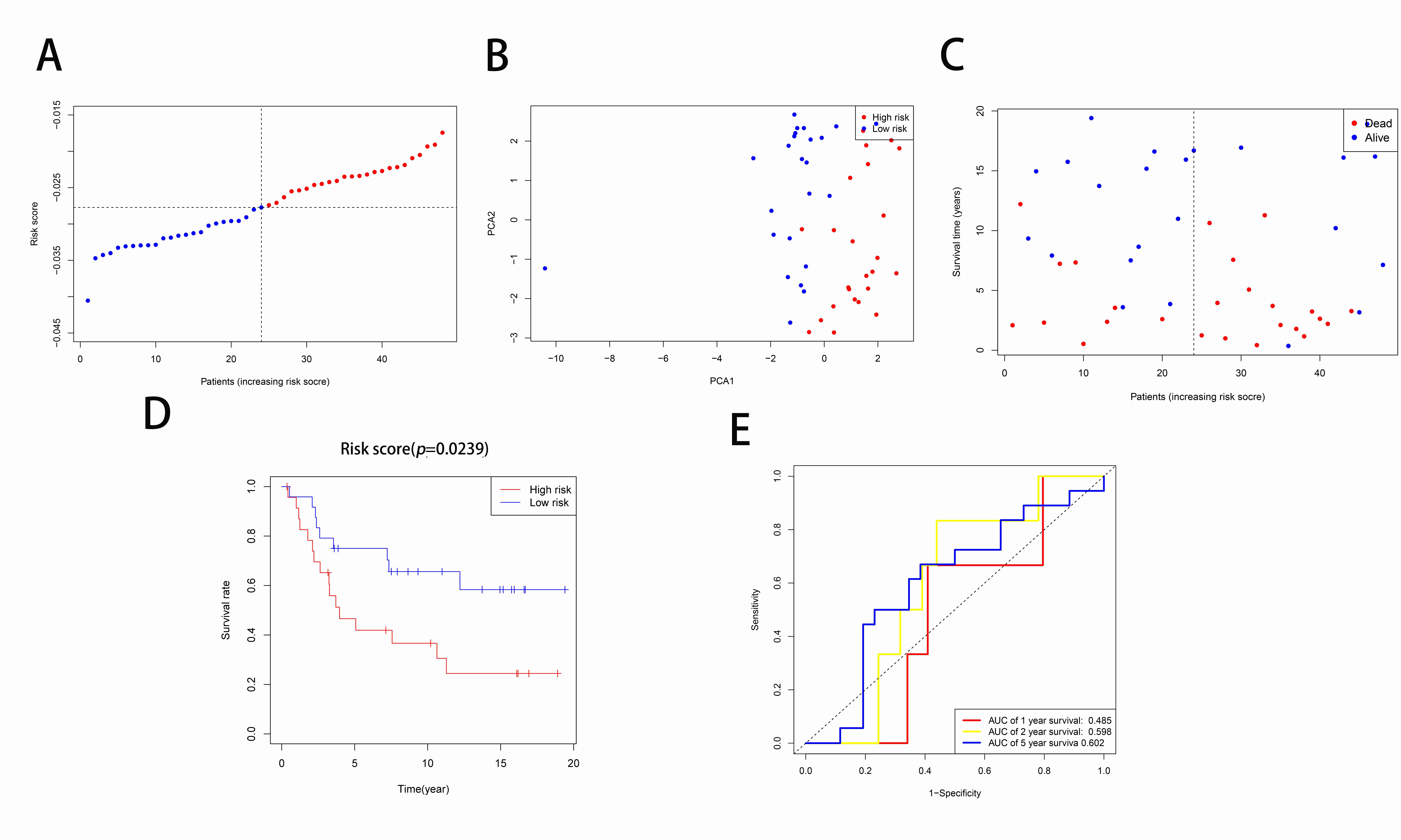 Validation of the risk model in the GEO cohort. (A)
Patients in the GEO cohort based on their median risk score in the TCGA cohort.
(B) PCA plot for CCs. (C) The survival states for all patients. (D) KM curves
comparing OS between the high- and low-risk cohorts. (E) The curves of
time-dependent ROC for CCs. PCA: principal component analysis; AUC: area under
the curve.