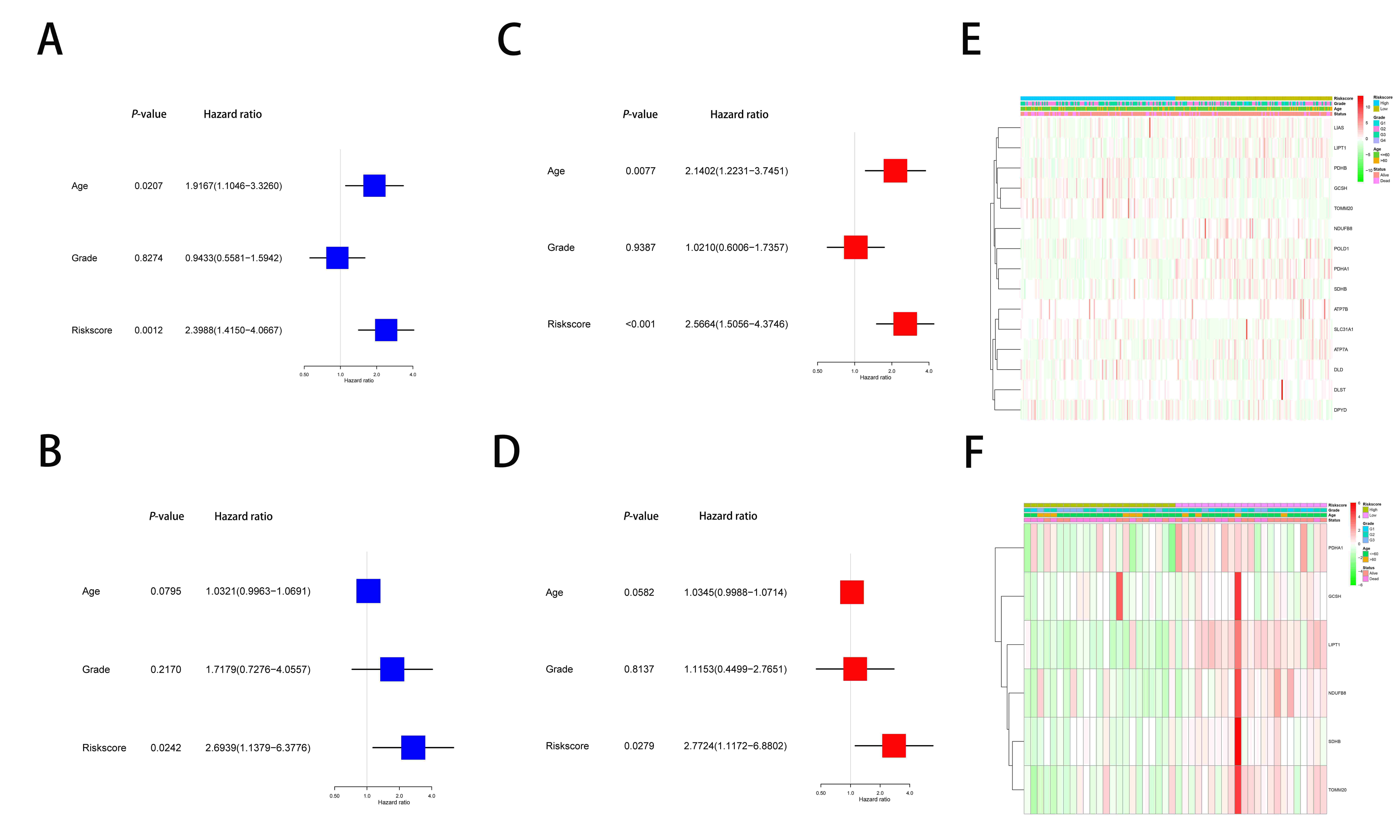 Multivariate Cox regression, along with univariate
Cox regression according to risk score and clinical characteristics. (A)
Univariate analysis of TCGA cohort. (B) Multivariate analysis of the TCGA cohort.
(C) Univariate analysis of GEO cohort. (D) Multivariate analysis of GEO cohort.
(E) Heatmap of TCGA cohort. (F) Heatmap of the GEO cohort.