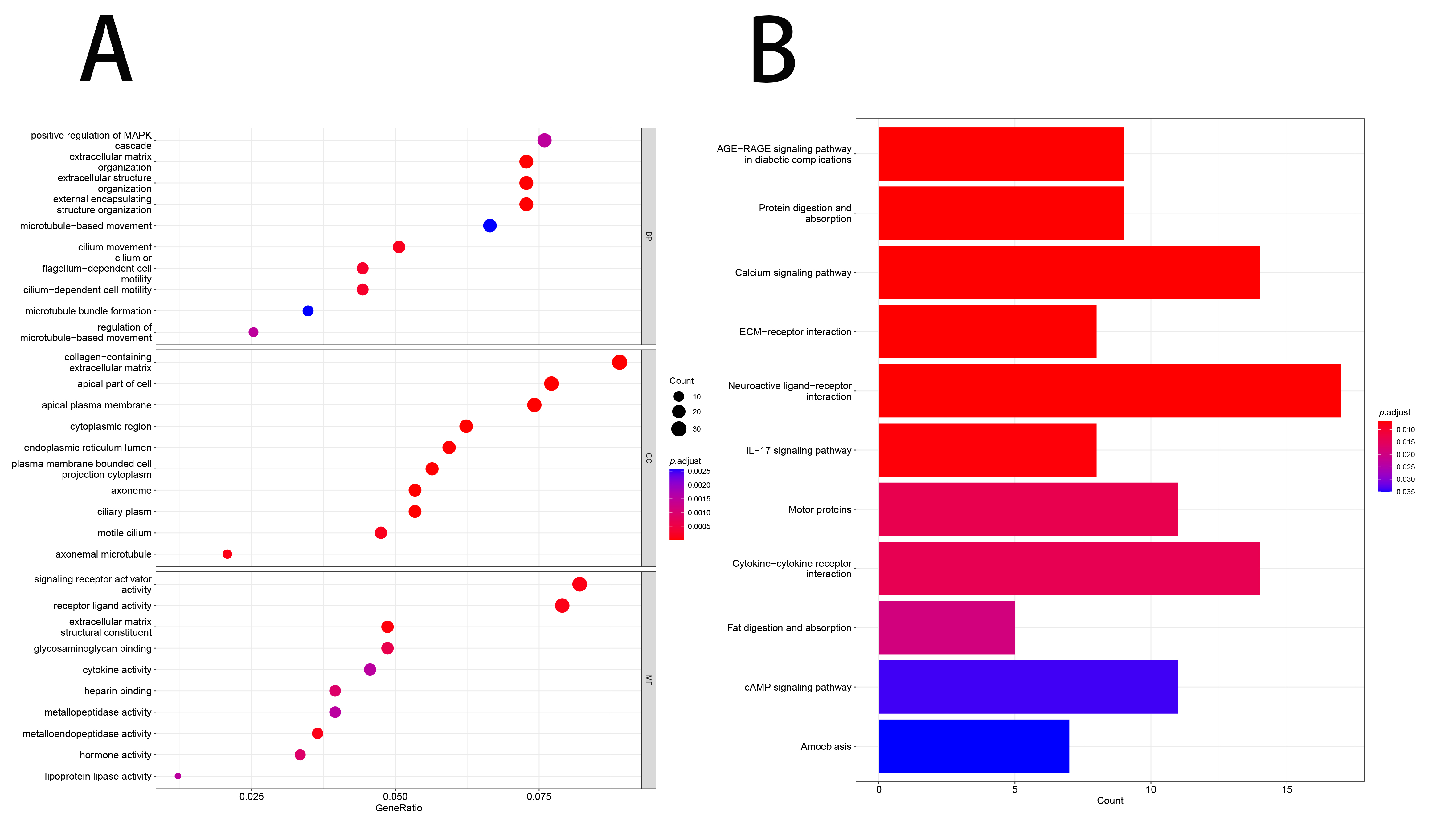 Functional analysis of DEGs between cohorts of TCGA.
(A) Bubble plot for GO enrichment. (B) Bar plot of the KEGG pathways. AGE:
advanced glycation end products; RAGE: receptor for advanced glycation end
products; ECM: extra cellular matrix; IL: interleukin.