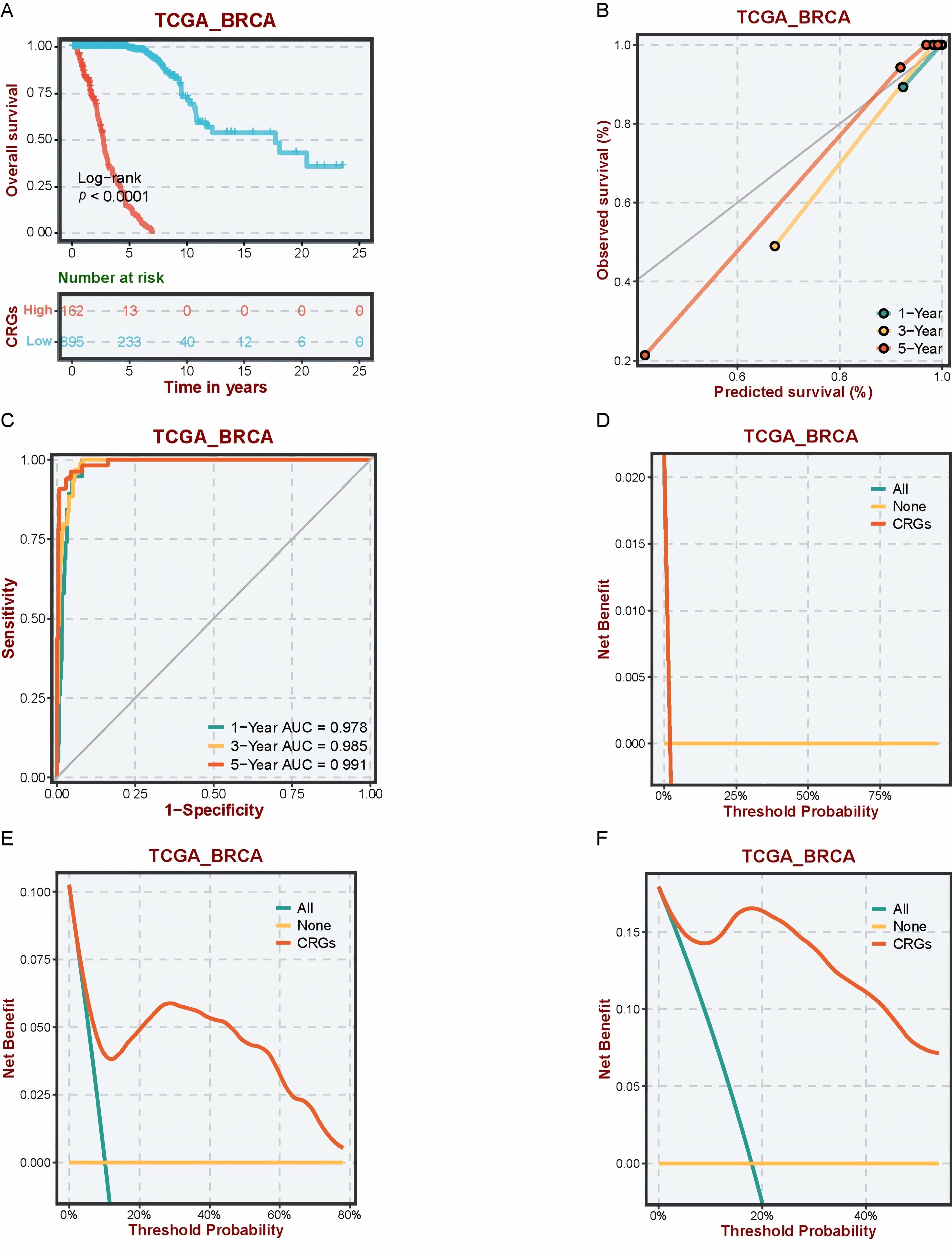 The creation of a random survival forest (RSF) model determined
by CRGs to forecast overall survival in patients with BRCA. (A) Kaplan-Meier
curve plotted showing the overall survival of distinct groups of BRCA patients based on the optimal threshold of their RSF score. (B) Calibration curves for
the prognosis model predicting the overall survival of BRCA patients over a
period of 1, 3 & 5 years. (C) Time-dependent ROC curves for RSF scores in
patients with BRCA. (D) Decision curves for 1-year overall survival prediction in
BRCA patients. (E) Decision curves for 3-year overall survival prediction in BRCA
patients. (F) Decision curves for 5-year overall survival prediction in BRCA
patients. CRGs: Cuproptosis-Related Genes; BRCA: Breast cancer; CRGs:
cuproptosis-related genes; AUC: area under the curve; TCGA_BRCA: The Cancer
Genome Atlas Breast Cancer Susceptibility Genes.