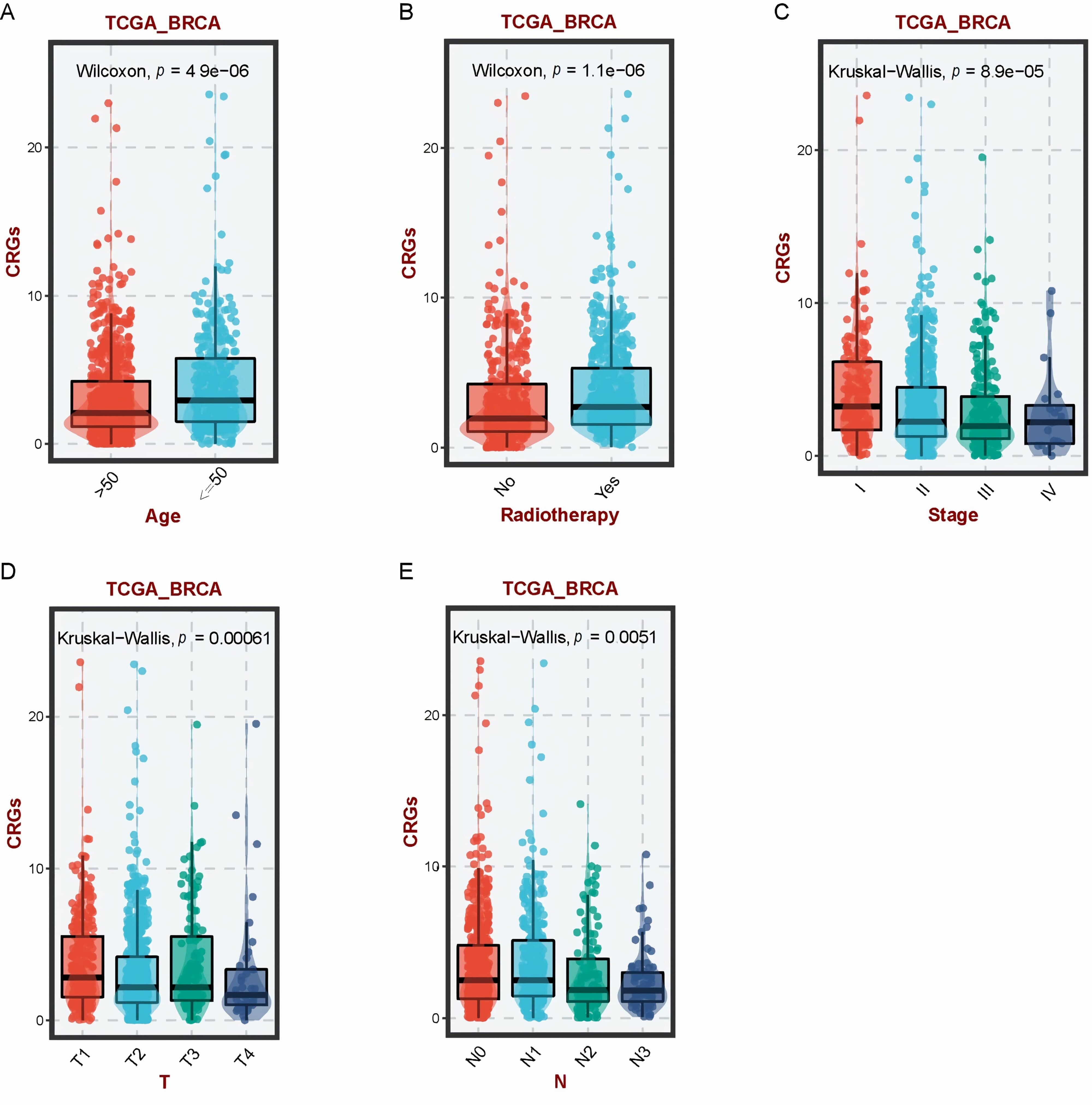 RSF scores of CRGs in BRCA patients based on different clinical
characteristics. (A) RSF scores of CRGs in BRCA patients at different ages. (B)
RSF scores of CRGs in BRCA patients receiving radiotherapy or not. (C) RSF scores
of CRGs in BRCA patients with different stages. (D) RSF scores of CRGs in BRCA
patients with different T stages. (E) RSF scores of CRGs in BRCA patients with
different N stages. CRGs: Cuproptosis-Related Genes; BRCA: Breast cancer;
TCGA_BRCA: The Cancer Genome Atlas Breast Cancer Susceptibility Genes.