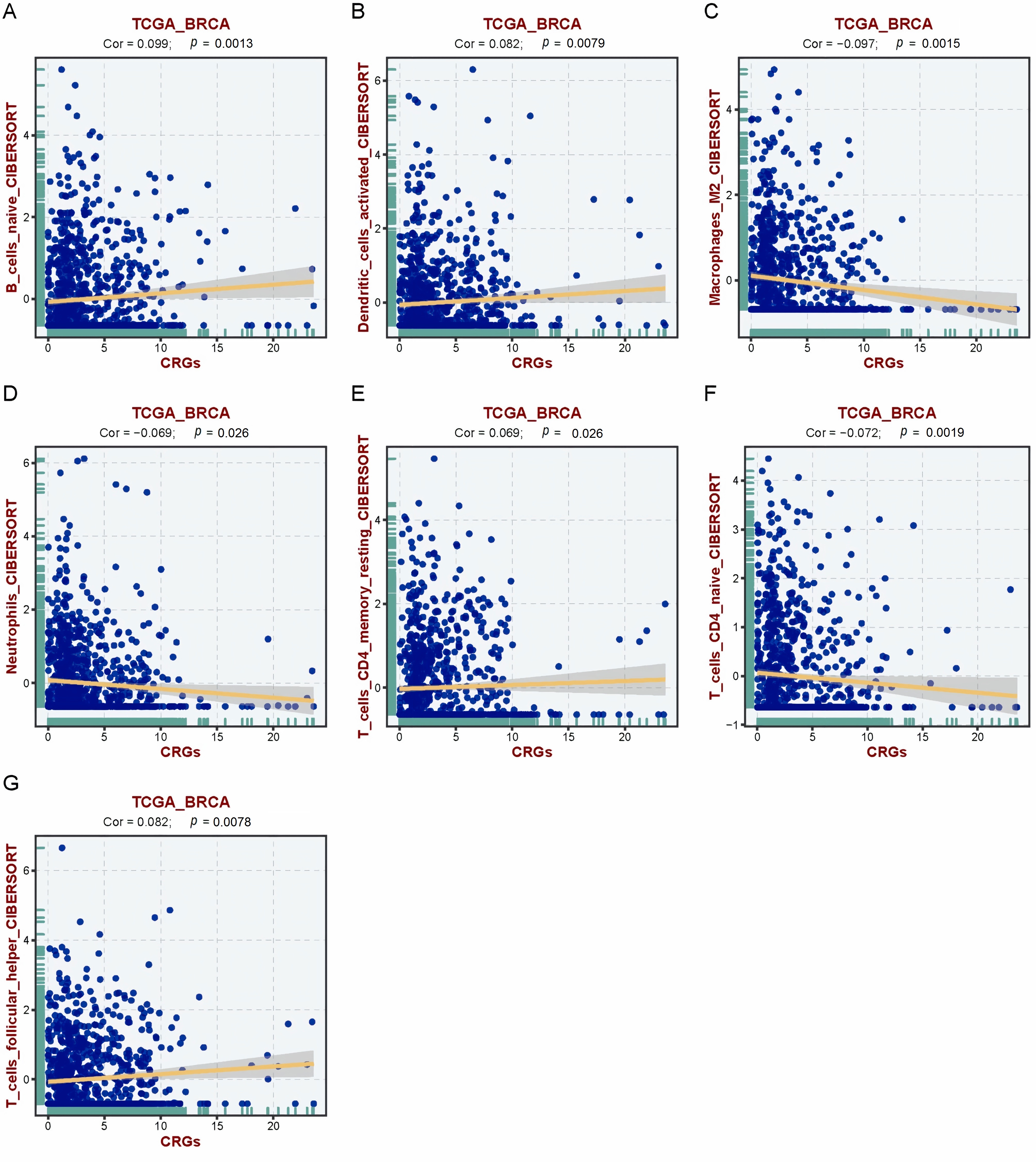 The correlation of CRGs with immune cell proportions, as
characterized by the CIBERSORT algorithm. (A) naïve B cells, (B) activated
dendritic cells, (C) M2 macrophages, (D) neutrophils, (E) resting memory CD4 T
cells, (F) naive CD4 T cells, and (G) follicular helper T cells. CRGs:
Cuproptosis-Related Genes; TCGA_BRCA: The Cancer Genome Atlas Breast Cancer
Susceptibility Genes.