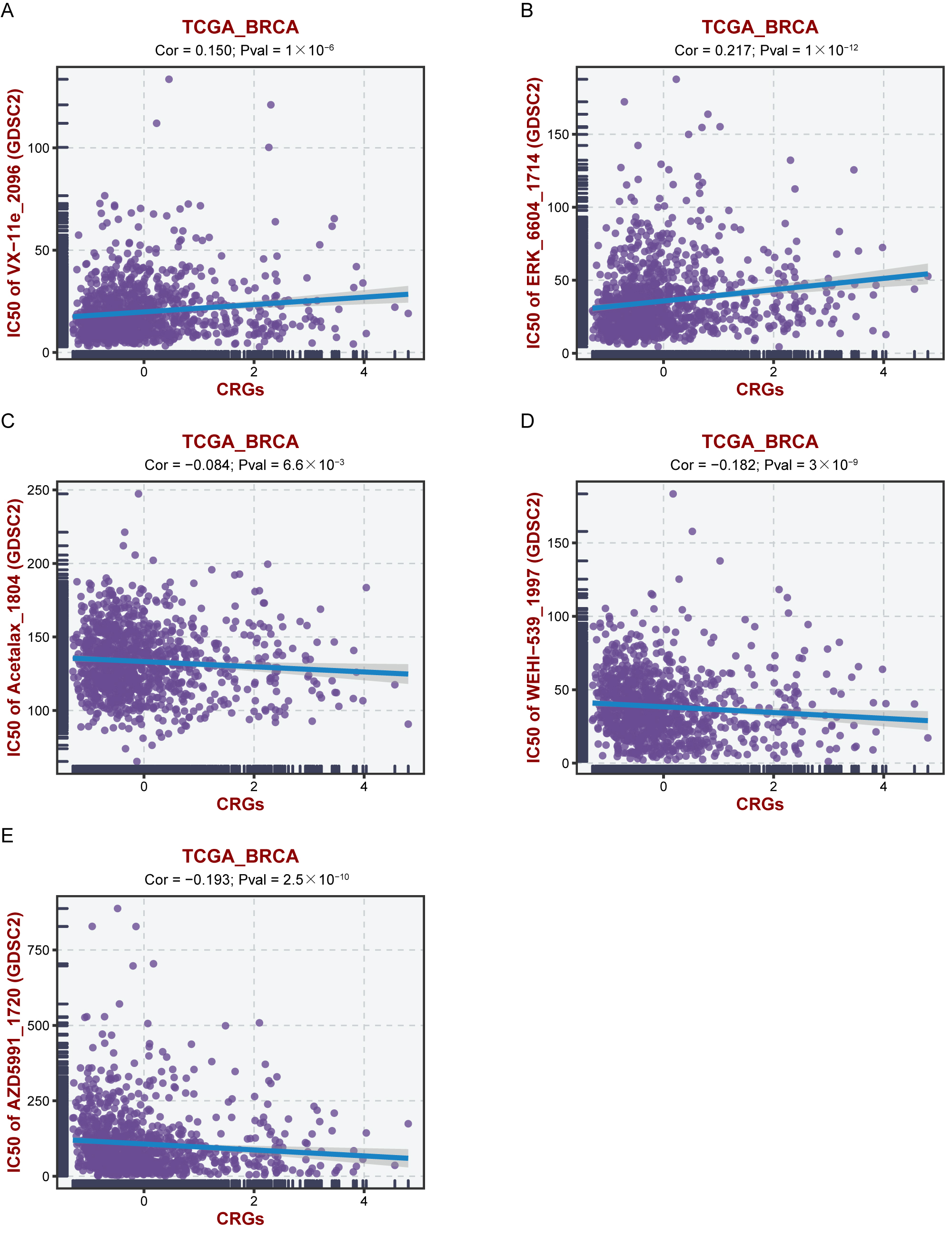 The correlation of CRGs with the IC50 of various drugs from
the GDSC2 database. (A) VX-11e_2096, (B) ERK_6604_1714, (C), Acetalax_1804,
(D) WEHI-539_1997, and (E) AZD5991_1720. CRGs: Cuproptosis-Related Genes;
GDSC2: Kyoto Encyclopedia of Genes and Genomes; CRGs: cuproptosis-related genes;
TCGA_BRCA: The Cancer Genome Atlas Breast Cancer Susceptibility Genes.