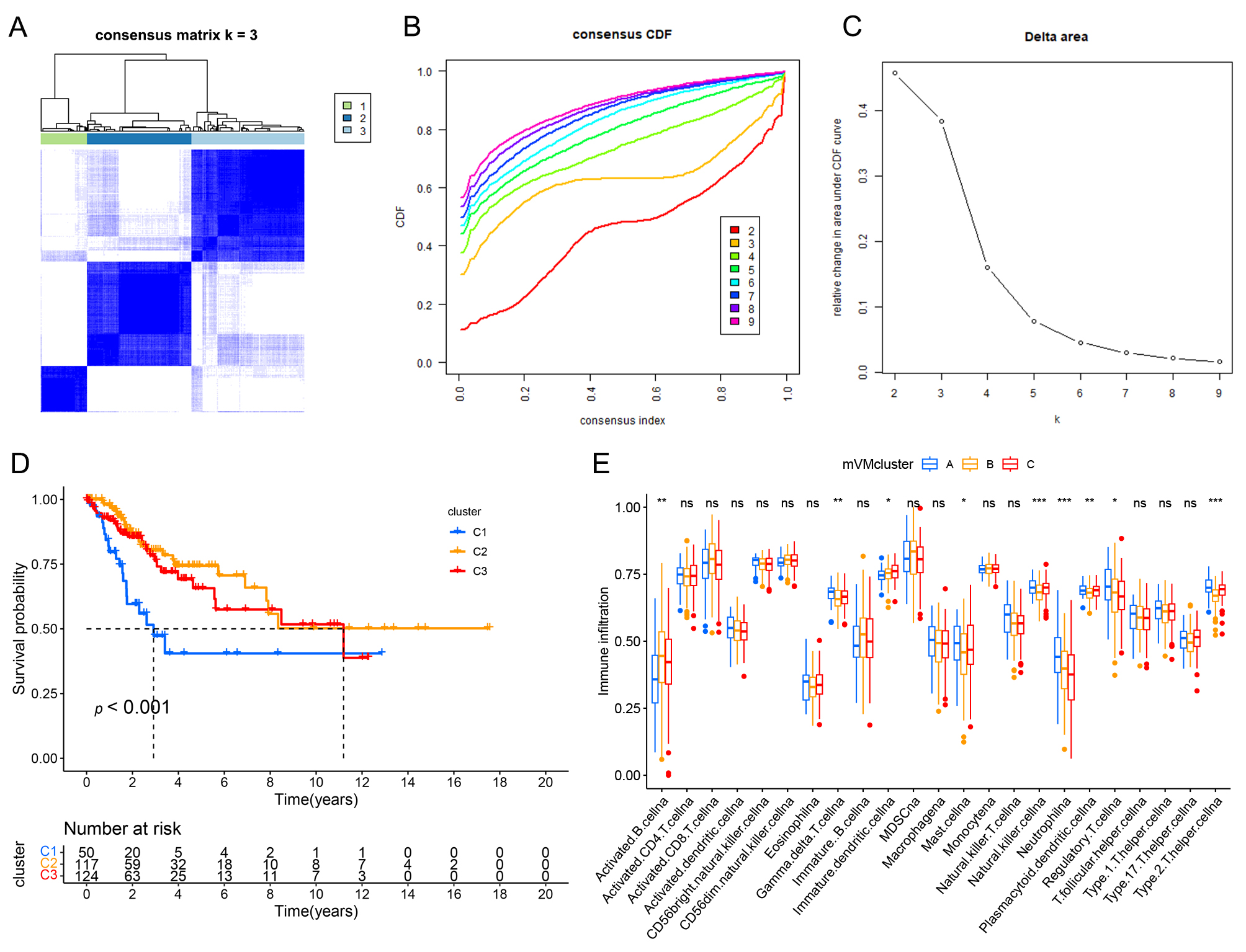 Recognition of mVM genes modification patterns. (A) Consensus
clustering matrix at k = 3. (B) Cumulative Distribution Function (CDF)
curve for consensus clustering analysis at k = 2–9. (C) Relative change
in area under the CDF curve at k = 2–9. (D) Survival analysis of
different clusters by Kaplan-Meier. (E) The abundance of immune-infiltrating
cells in the three clusters. *p < 0.05, **p
< 0.01, ***p < 0.001.