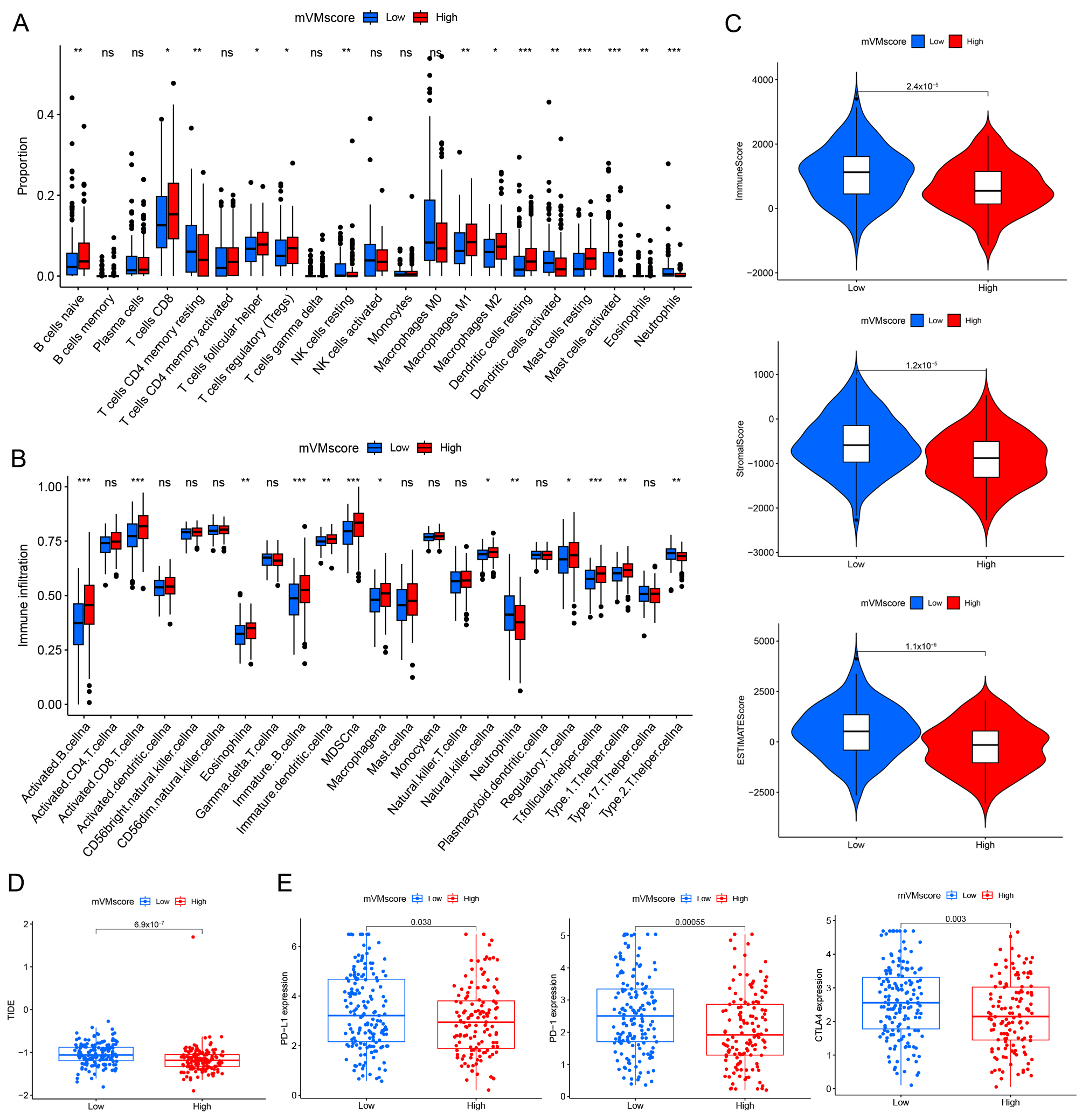 Potential for predicting immunotherapeutic response in mVM
signature. (A) Differences in infiltration of immune cell types between the two
subgroups. (B) The infiltrating levels of different immune cell types. (C)
ESTIMATE was performed to compare immune scores, stromal scores, tumor purity and
estimate scores in two groups. (D) TIDE prediction difference in the high- and
low-risk patients. (E) Violin plot depicted the expression of checkpoint genes in
the high- and low-mVMscore groups. *p < 0.05,
**p < 0.01, ***p < 0.001.