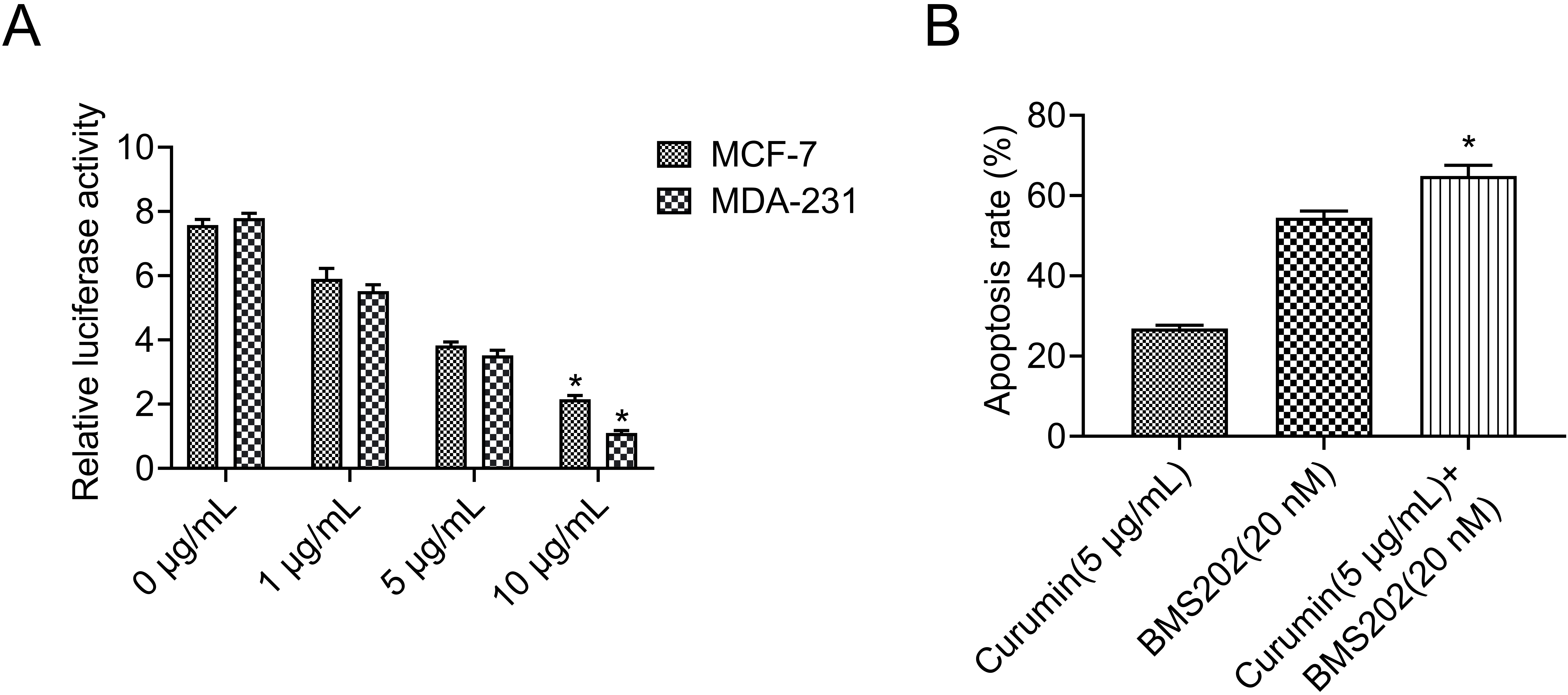 Effect of curcumin on the activity of PD-L1 promoter in breast
cancer cells. (A) PGL3-PD-L1 and the internal control plasmid were
co-transfected to breast cancer cells, and the activity of luciferase expression
was determined by Dual-luciferase Assay System. The results showed that the
activity of luciferase was significantly decreased with the increase in the
concentration and the prolongation of the phase of the breast cancer cells
transfected with PD-L1 promoter after treatment with curcumin. After 24 h, the
activity of MCF-7 and MDA-231 decreased by 3.36 and 5.45 times respectively. (B)
Curcumin combined with PD-L1 inhibitor can enhance the killing effect of breast
cancer cells. 5 μg/mL curcumin and 20 nM PD-L1 inhibitor BMS202 were used to act
on the breast cancer cell MCF-7, and the flow cytometry was used to determine the
apoptosis level. The experimental results showed that 5 μg/mL curcumin, (20 nM)
PD-L1 inhibitor BMS202 and curcumin 5 μg/mL + BMS202 (20 nM) treated for 24 h,
the apoptosis rate of MCF-7 in breast cancer cells was 26.1%, 51.4%, 66.4%.
*p < 0.05.