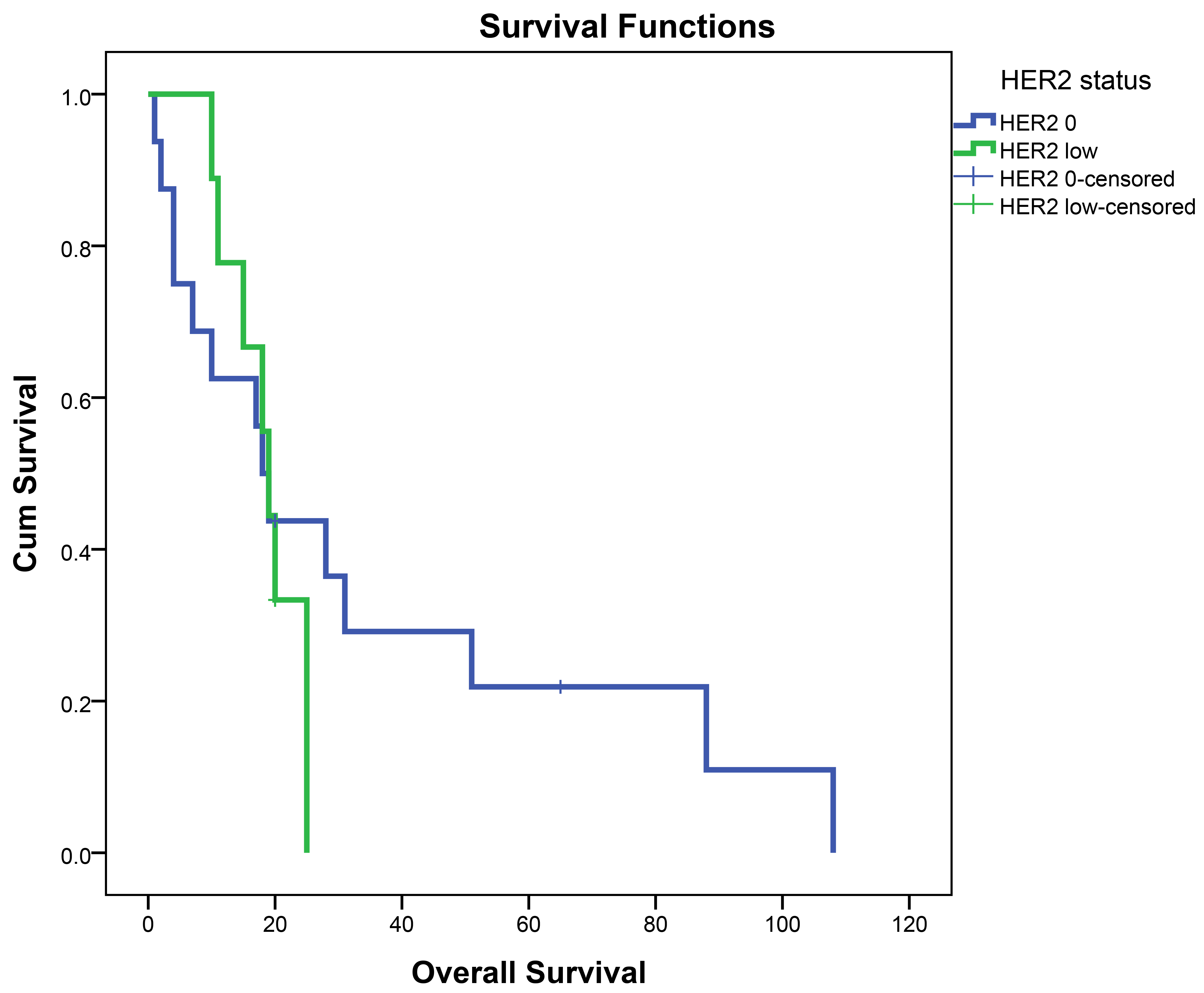 Kaplan-Meier Survival Curves for HER2 0+ and HER2 low Groups in
triple negative patients. HER2: Human epidermal growth factor receptor 2.