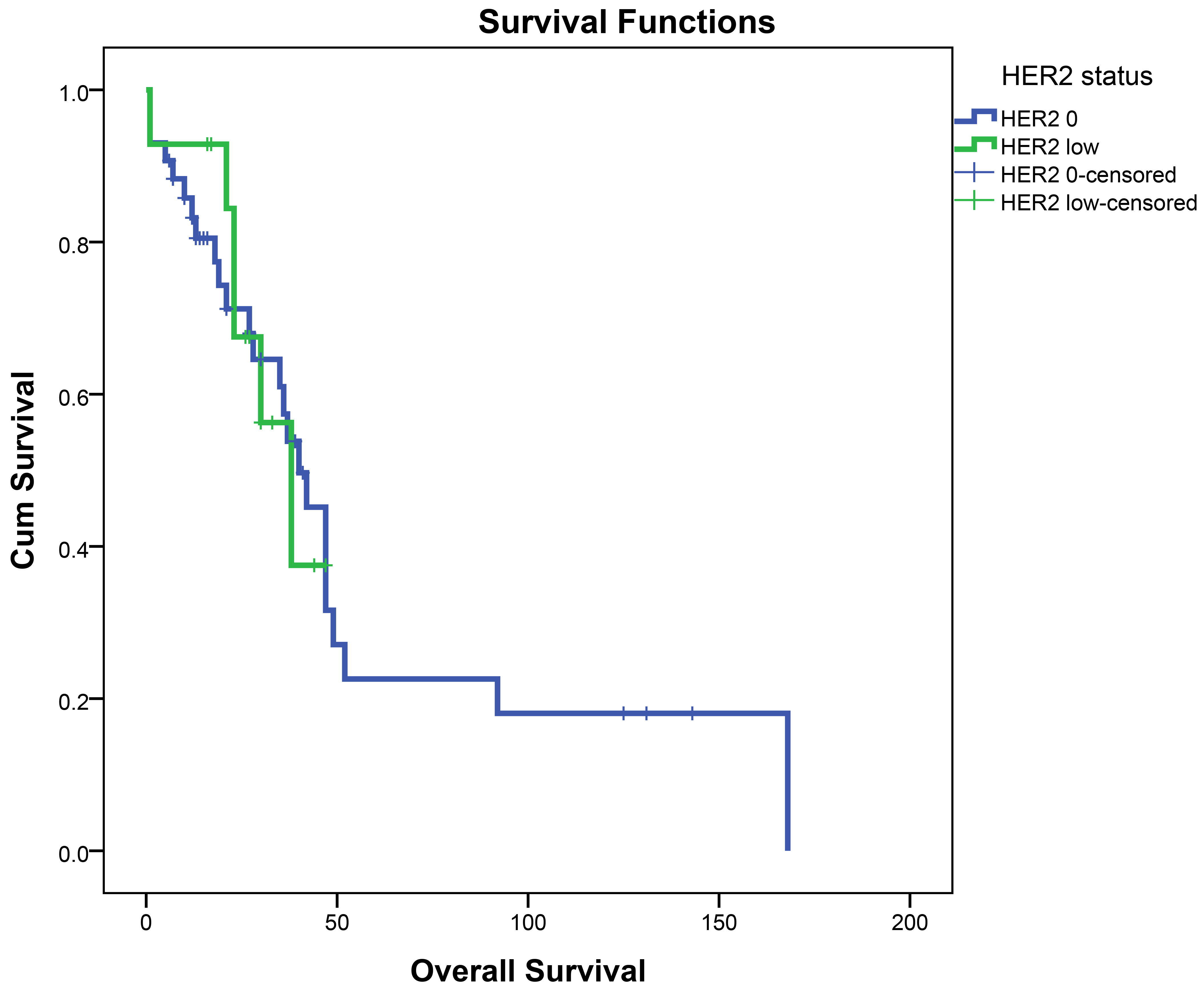 Kaplan-Meier Survival Curves for HER2 0+ and HER2 low Groups in
Luminal A patients. HER2: Human epidermal growth factor receptor 2.