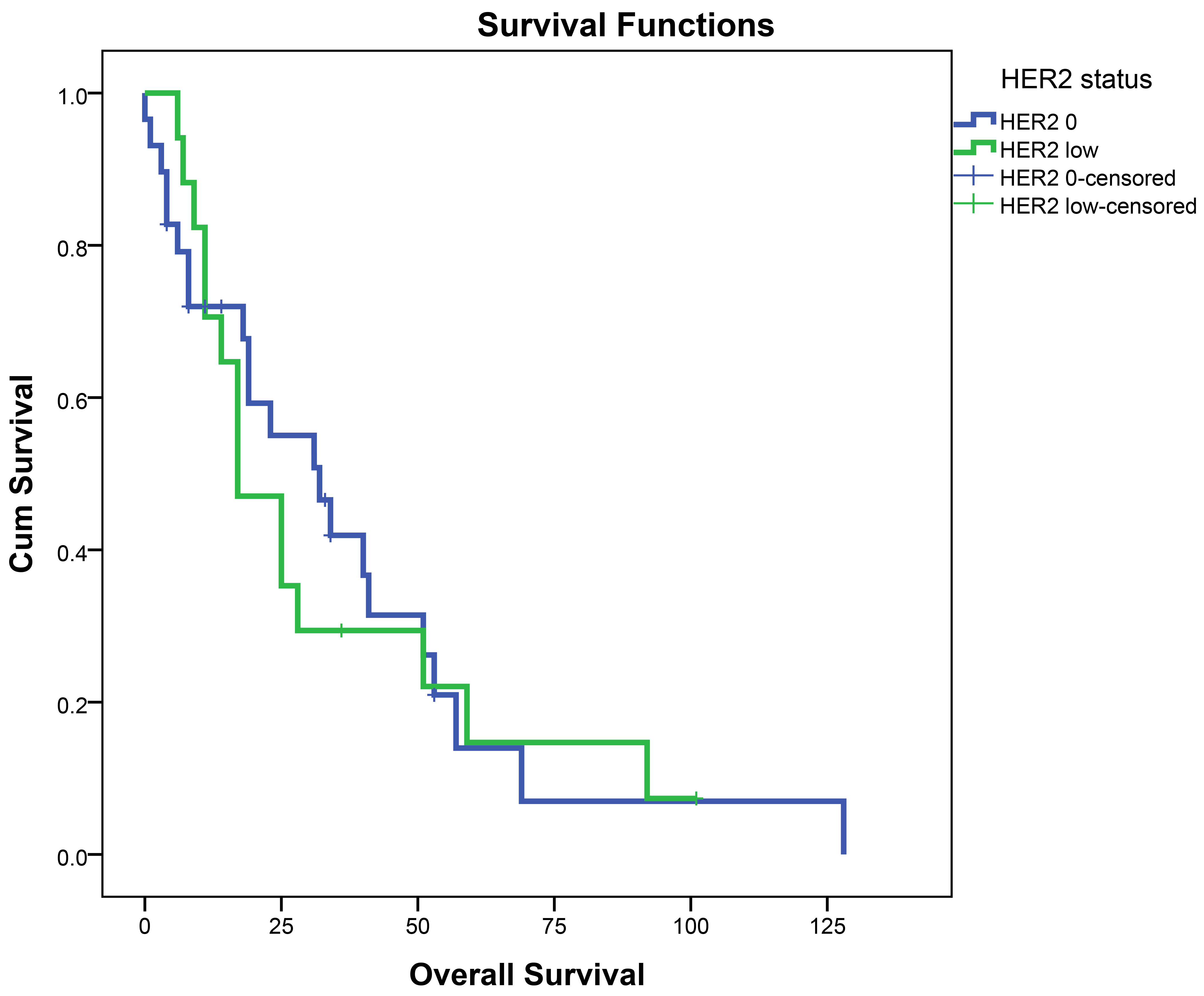 Kaplan-Meier Survival Curves for HER2 0+ and HER2 low Groups in
Luminal B patients. HER2: Human epidermal growth factor receptor 2.
