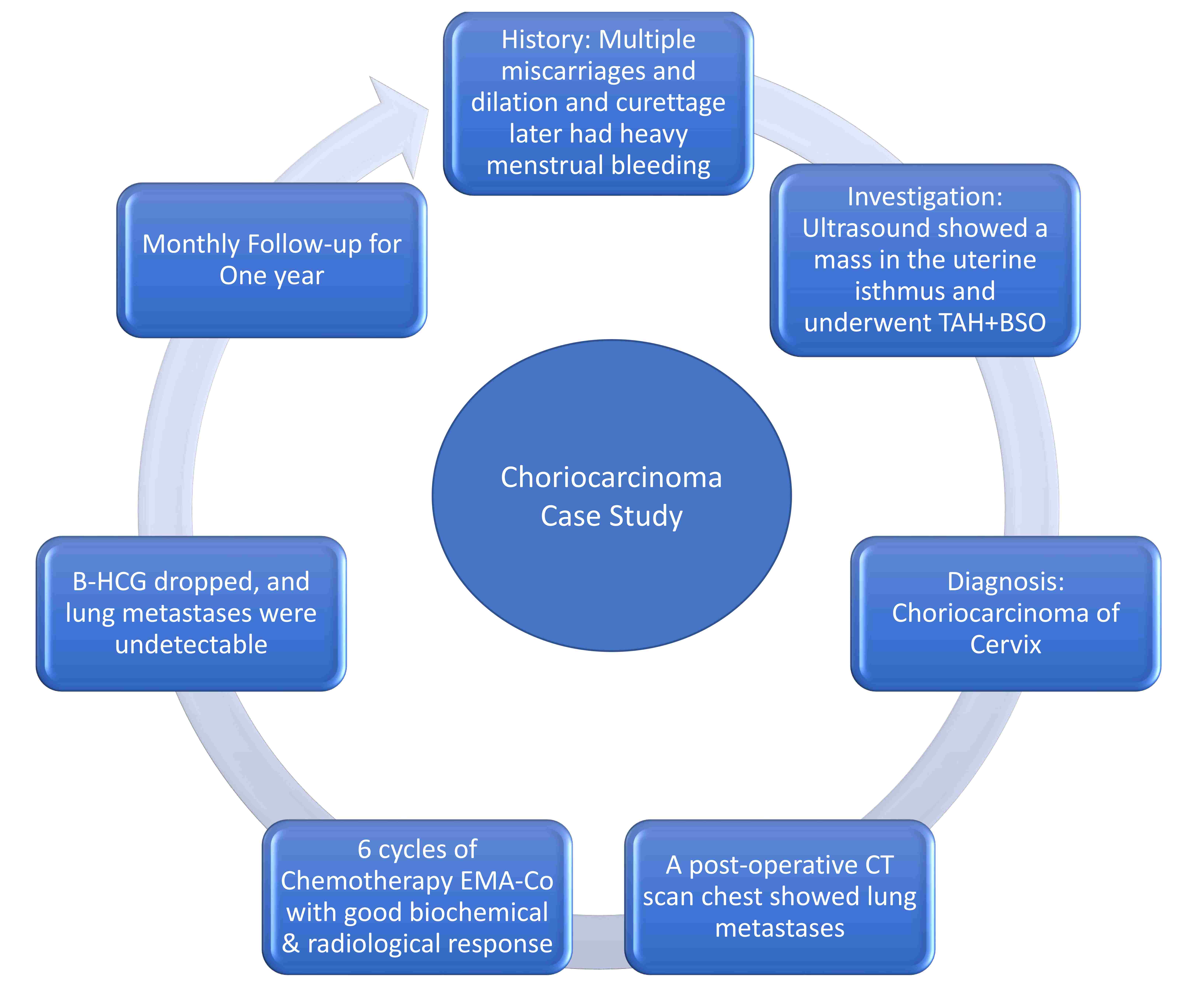 Case study summary of choriocarcinoma. TAH + BSO: total
abdominal hysterectomy with bilateral salpingo-oopherectomy; EMA-Co: etoposide,
methotrexate and actinomycin-D with cyclophosphamide and vincristine; CT:
Computed Tomography; B-HCG: B-Human Chorionic Gonadotropin.
