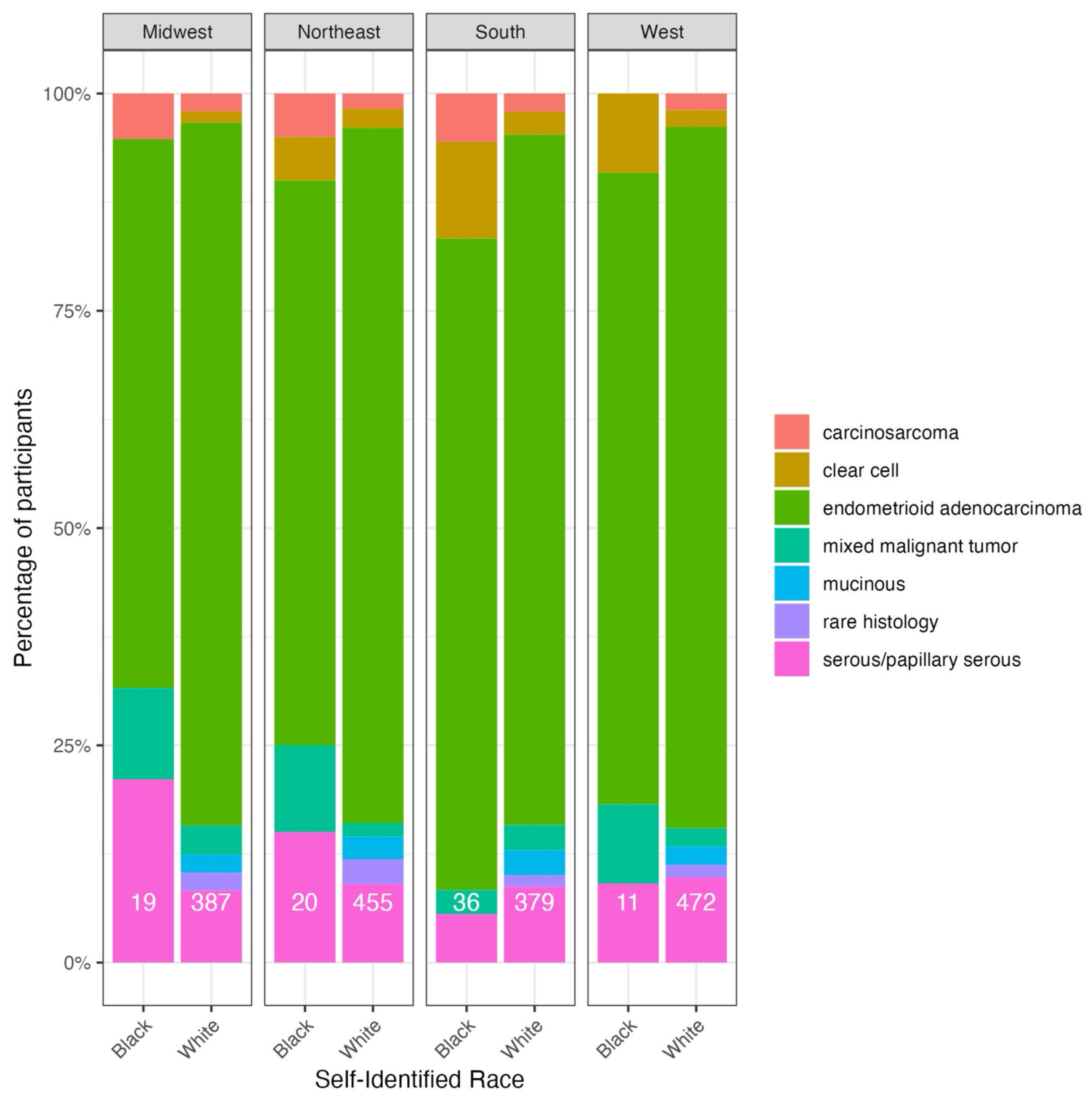 Endometrial cancer histology distributions across United States
census geographic regions.