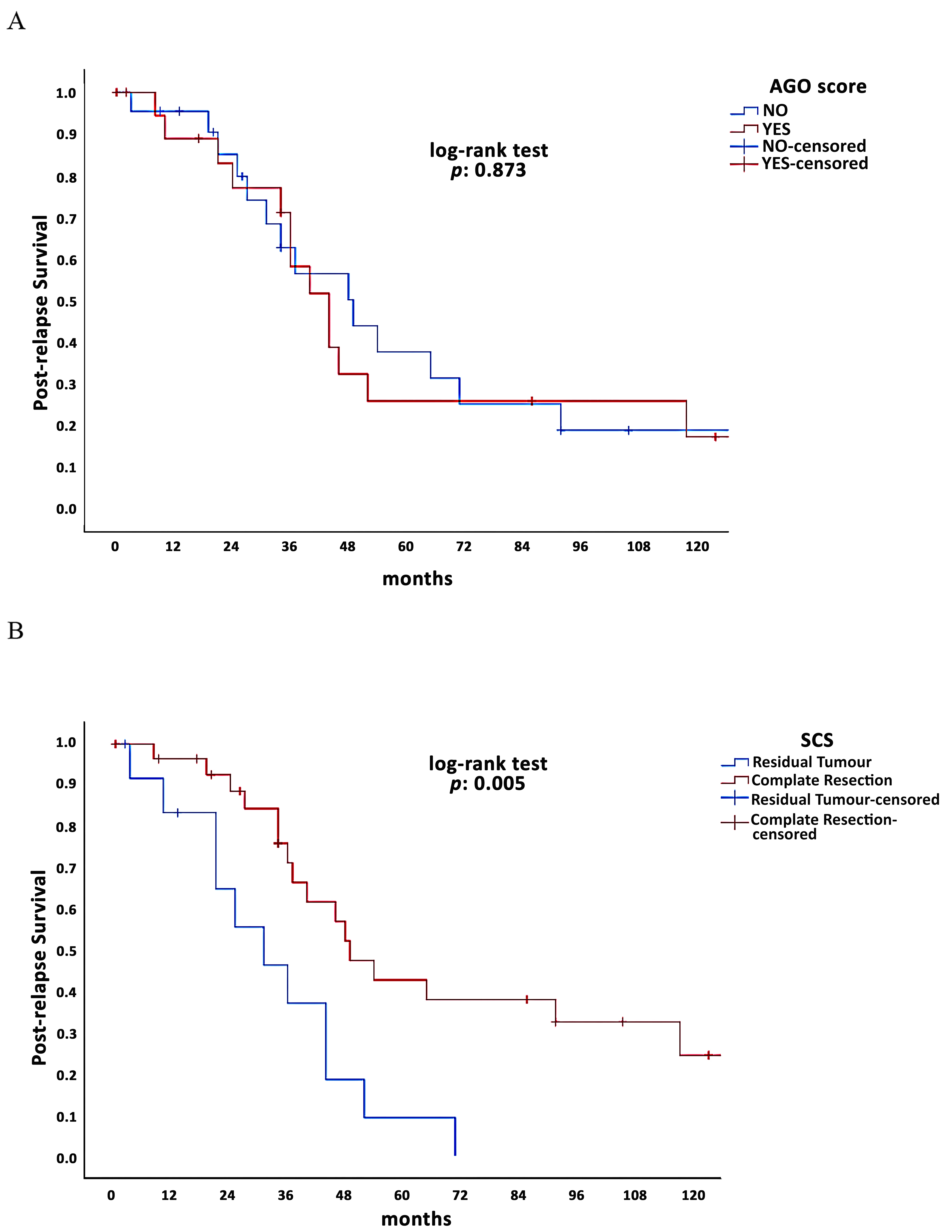 The impact of AGO score and surgical outcomes on post-relapse
survival in recurrent ovarian cancer. (A) Post-relapse survival according to the
AGO score. (B) Post-relapse survival according to the SCS. AGO:
Arbeitsgemeinschaft Gynaekologische Onkologie; SCS: Secondary Cytoreductive
Surgery.