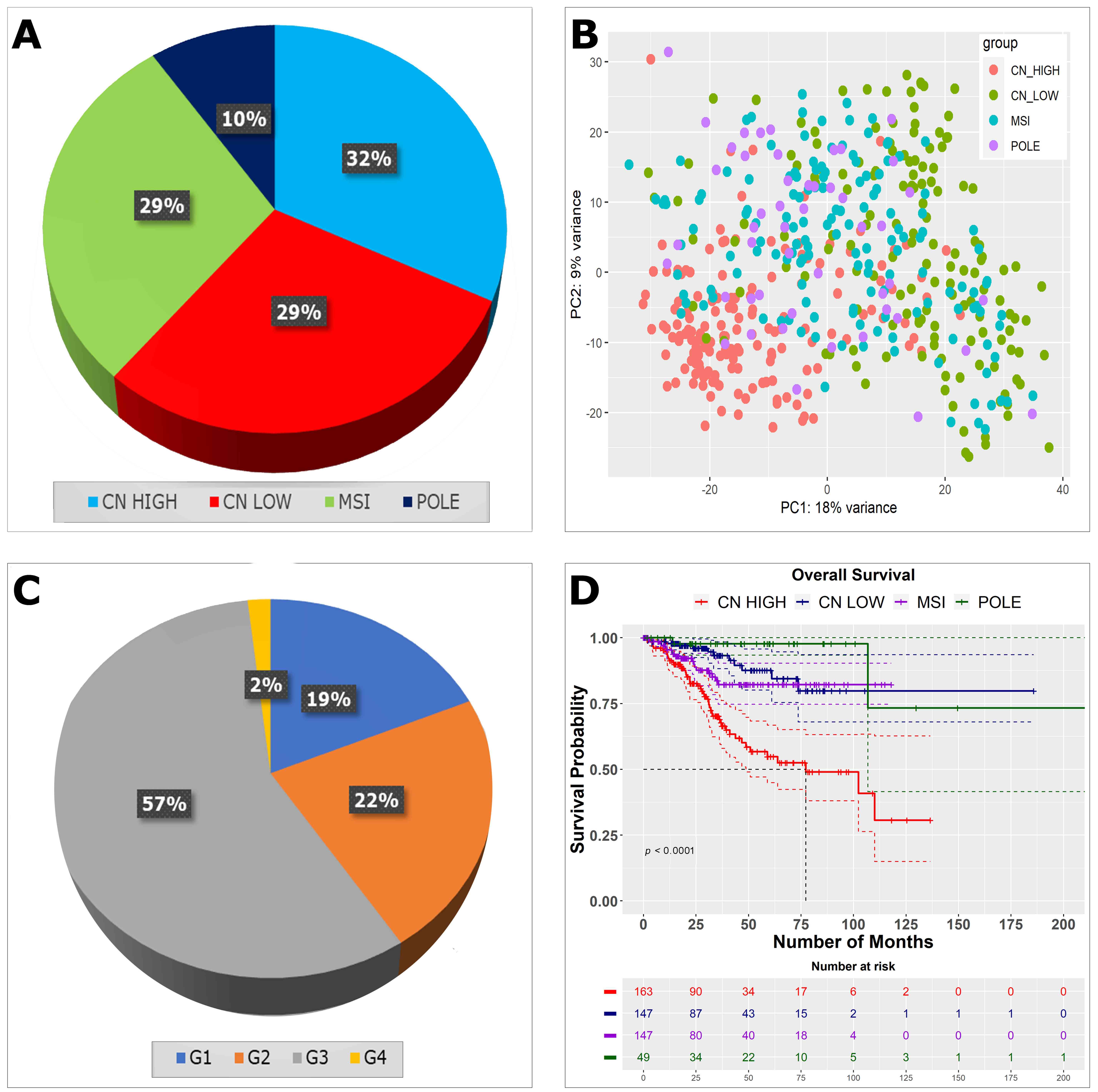 Summary of the EC sample data. (A) Molecular subtypes of EC
samples. (B) The PCA plot of EC samples based on their molecular subtypes. (C) EC
tumor grade distribution from low (G1) to high (G4). (D) Kaplan-Meier overall
survival plot of EC patients showing significantly poor prognosis of the CN high
molecular subtype patients. MSI: microsatellite instability; POLE: polymerase
ε; CN: Copy-number; PC: Principal Component.