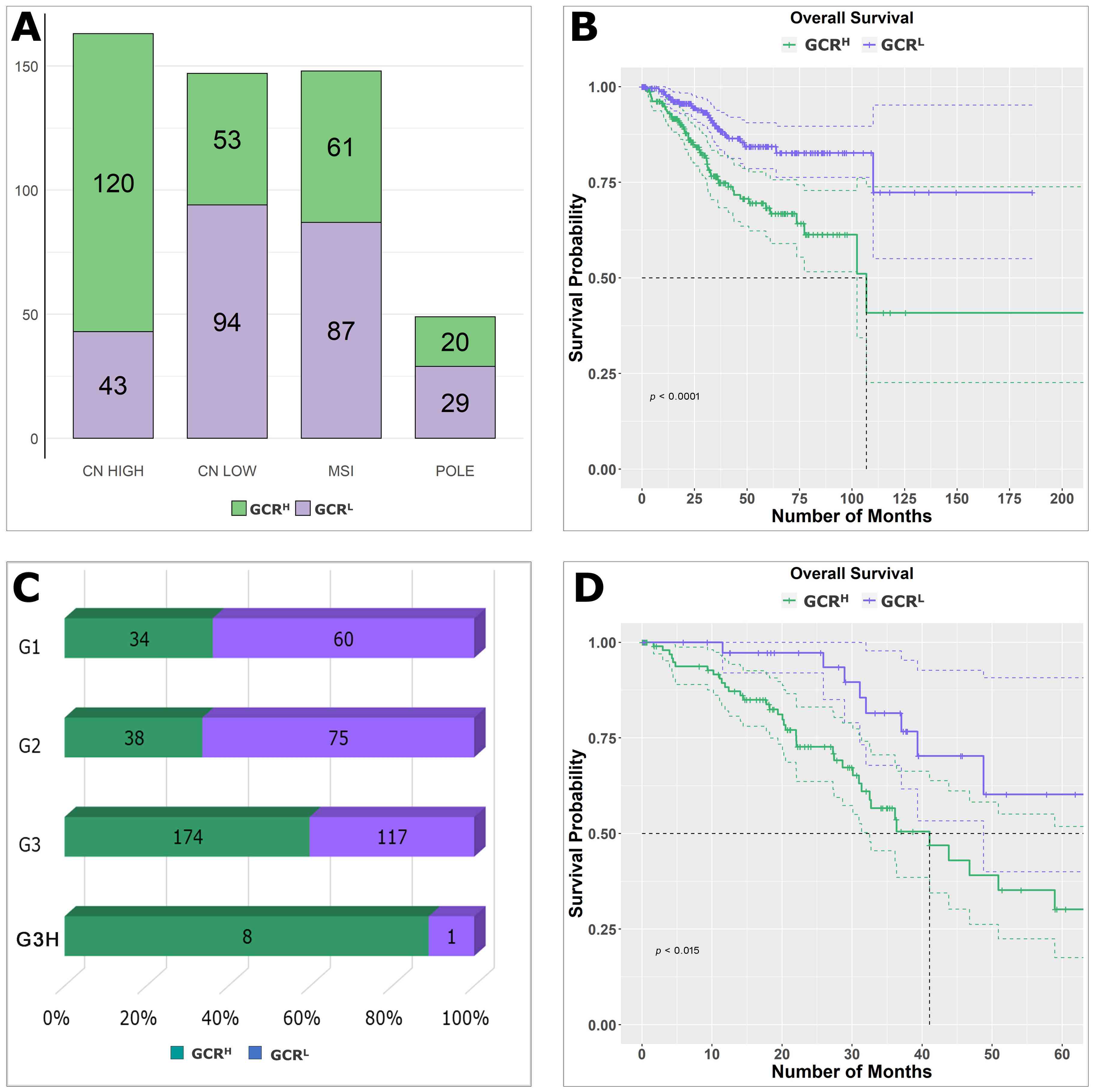 Characteristics of GCR low and high endometrial tumors. (A)
Distribution of different molecular subtypes of EC tumors by GCR level. (B)
Overall survival Kaplan-Meier plot of EC patients based on GCR level. (C)
Distribution of different grades of EC tumors by GCR level. (D) The Kaplan-Meier
survival curve of CN High molecular subtype EC patients with GCR levels.
GCRH: high glucocorticoid receptor; GCRL: low glucocorticoid receptor;
MSI: microsatellite instability; POLE: polymerase ε; CN: Copy-number;
G3H: Grade 3 and High grade/Grade 4.