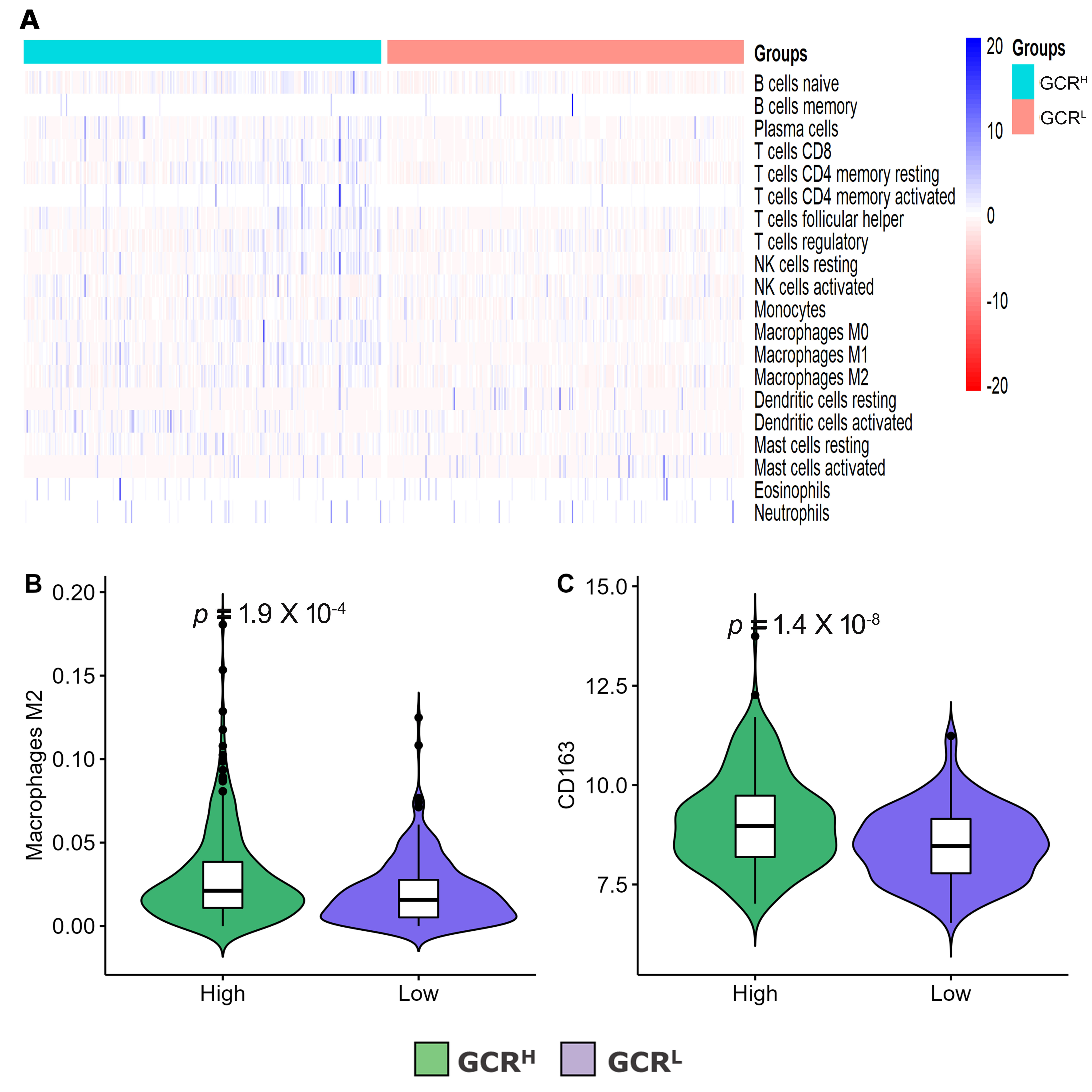 Immune cell composition identified by CIBERSORT algorithm. (A)
Distribution of immune cell types in GCRH and GCRL
groups. (B) The expression of M2 macrophages in GCRH and
GCRL groups. (C) The expression of CD163, a M2 macrophage marker,
in GCRH and GCRL groups. GCRH: high
glucocorticoid receptor; GCRL: low glucocorticoid receptor; CD: Cluster of
Differentiation; NK: Natural Killer.