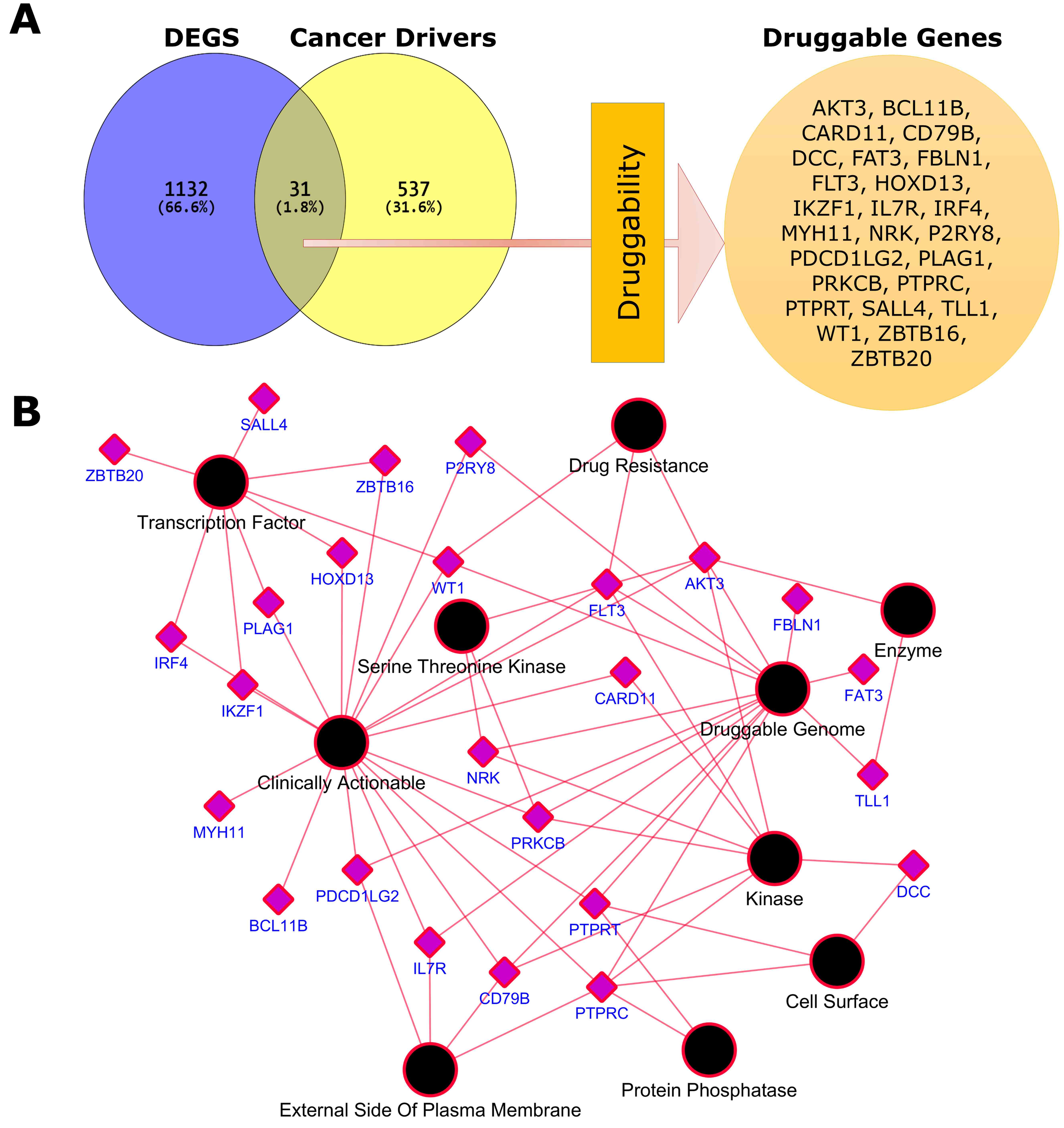 Identification of cancer drivers and druggable targets. (A)
Druggable differentially expressed Cancer driver genes in EC. (B) Druggable genes
and their clinically actionable categories.