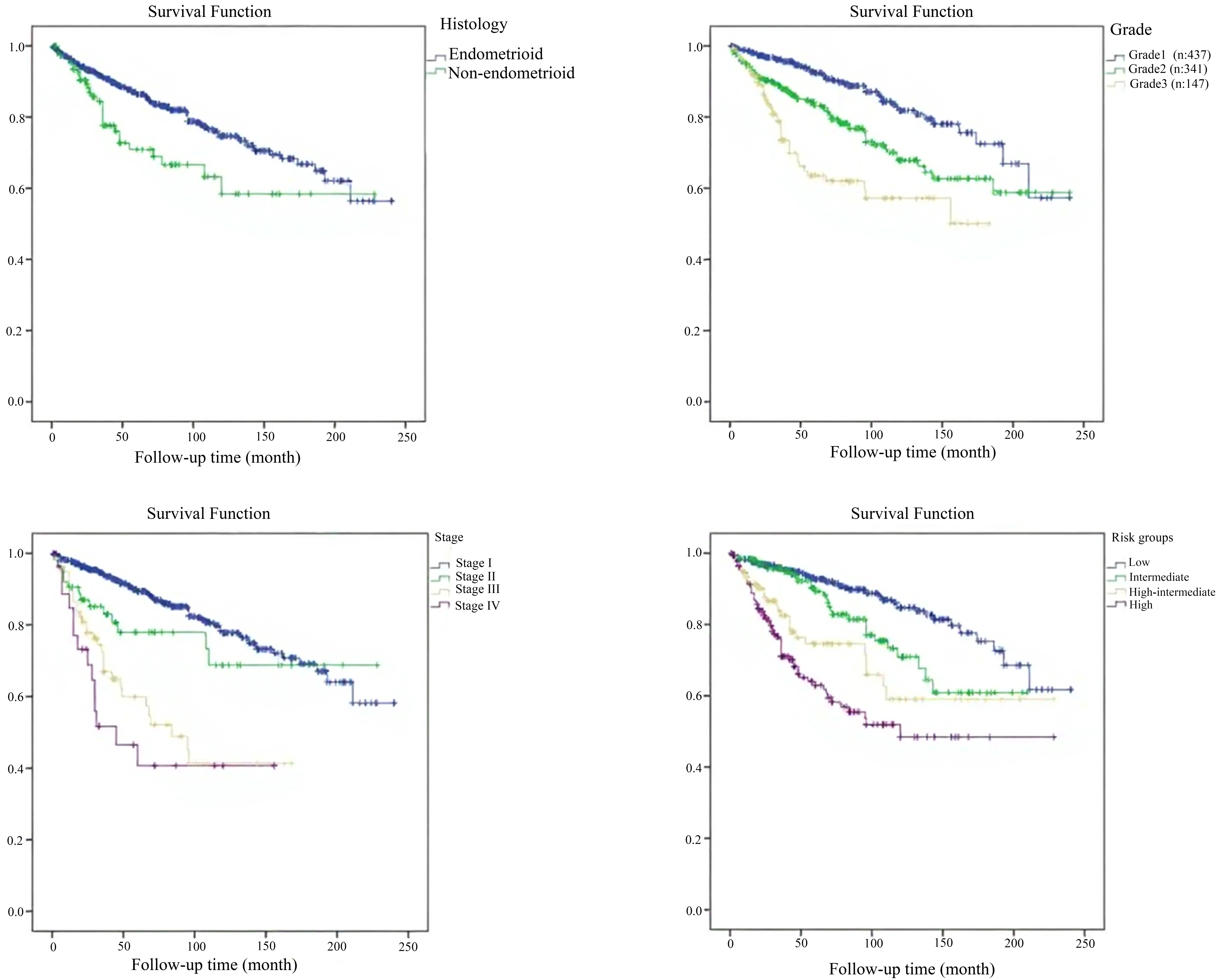 Overall survival for histology, stage, grade and risk groups.
