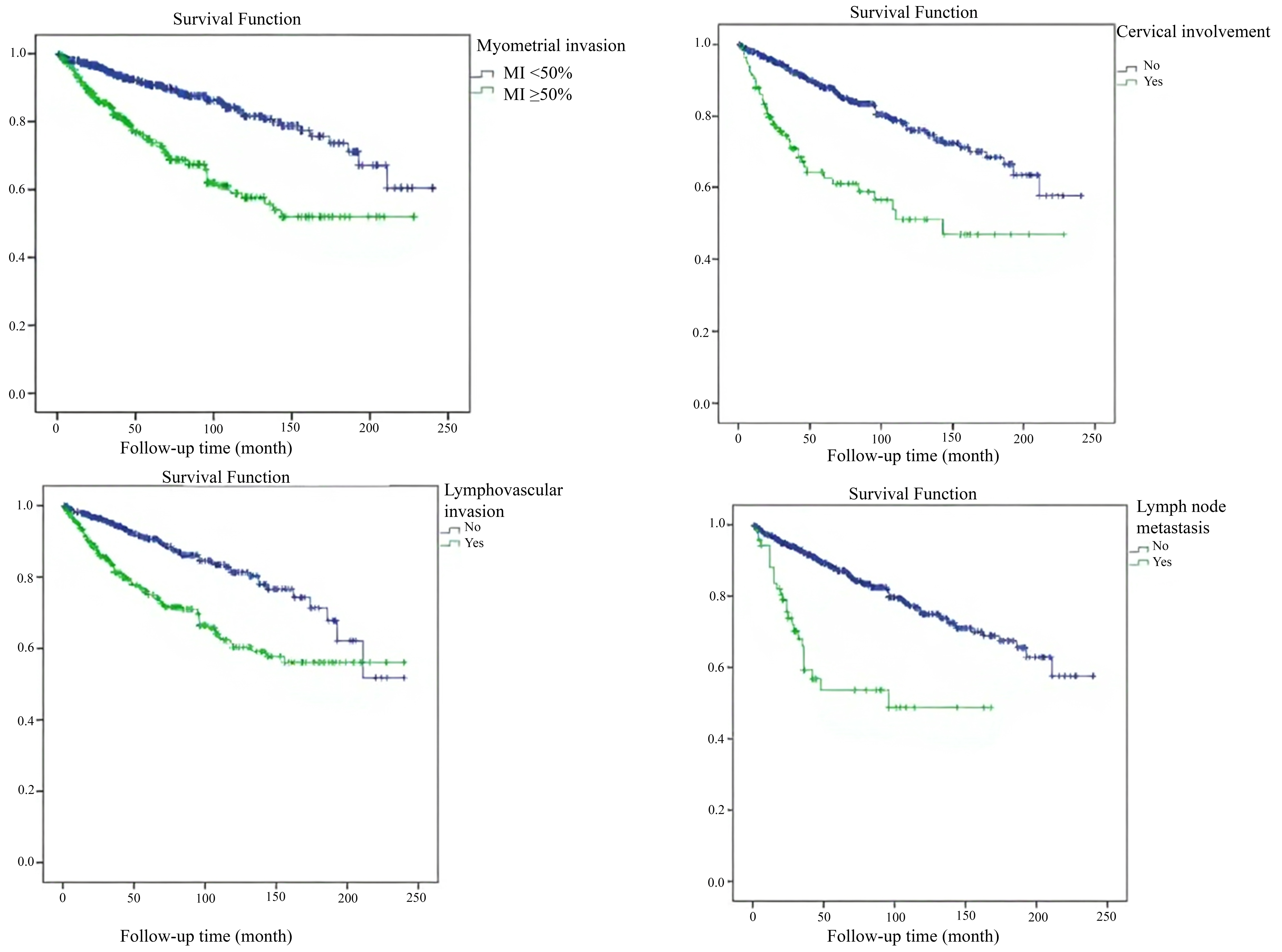 Overall survival for myometrial invasion, cervical invasion,
lymphovascular invasion and lymph node metastasis.