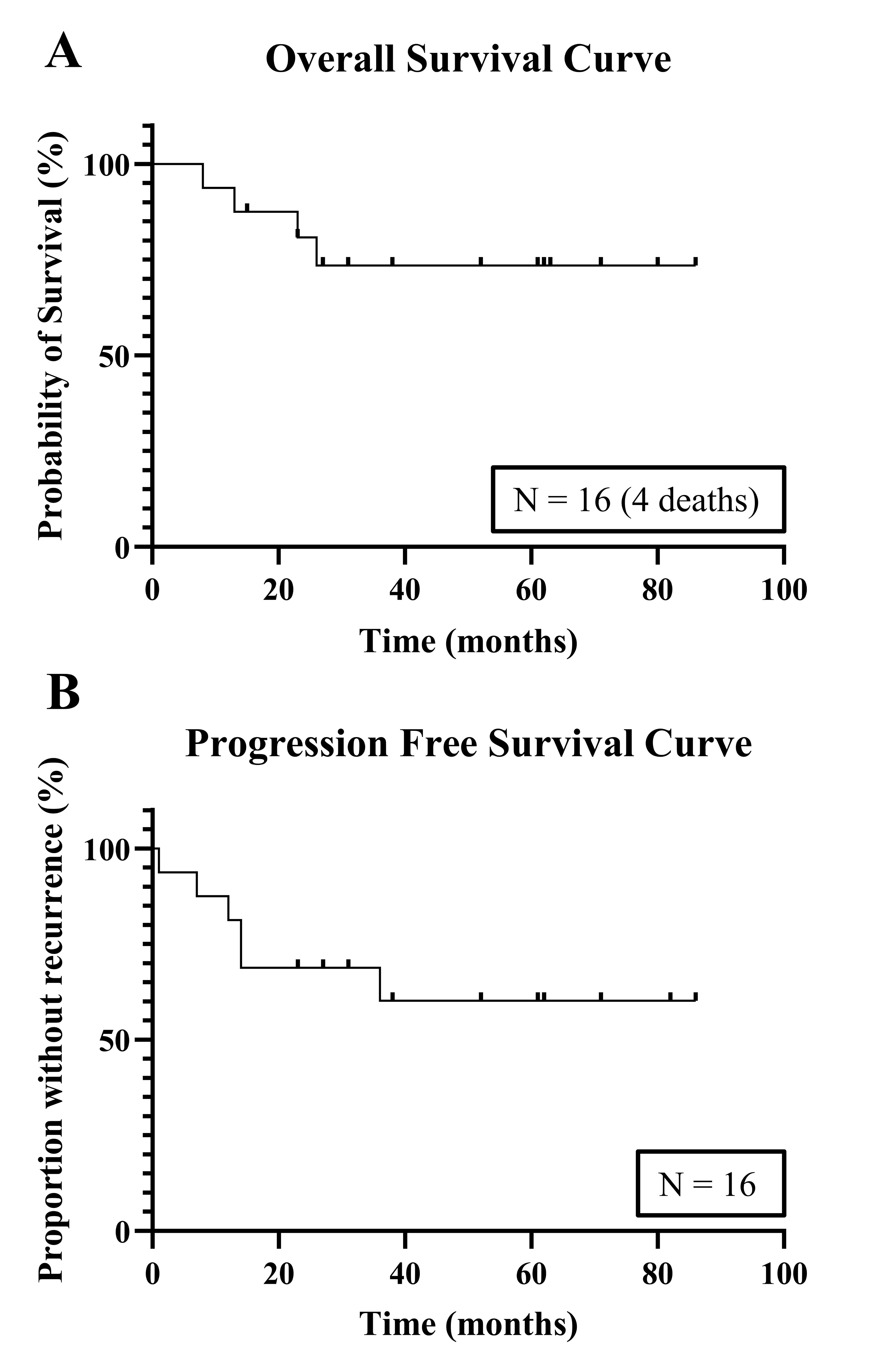 Survival profile. (A) Overall Survival (OS) curve. (B) 
Progression Free Survival (PFS) curve.
