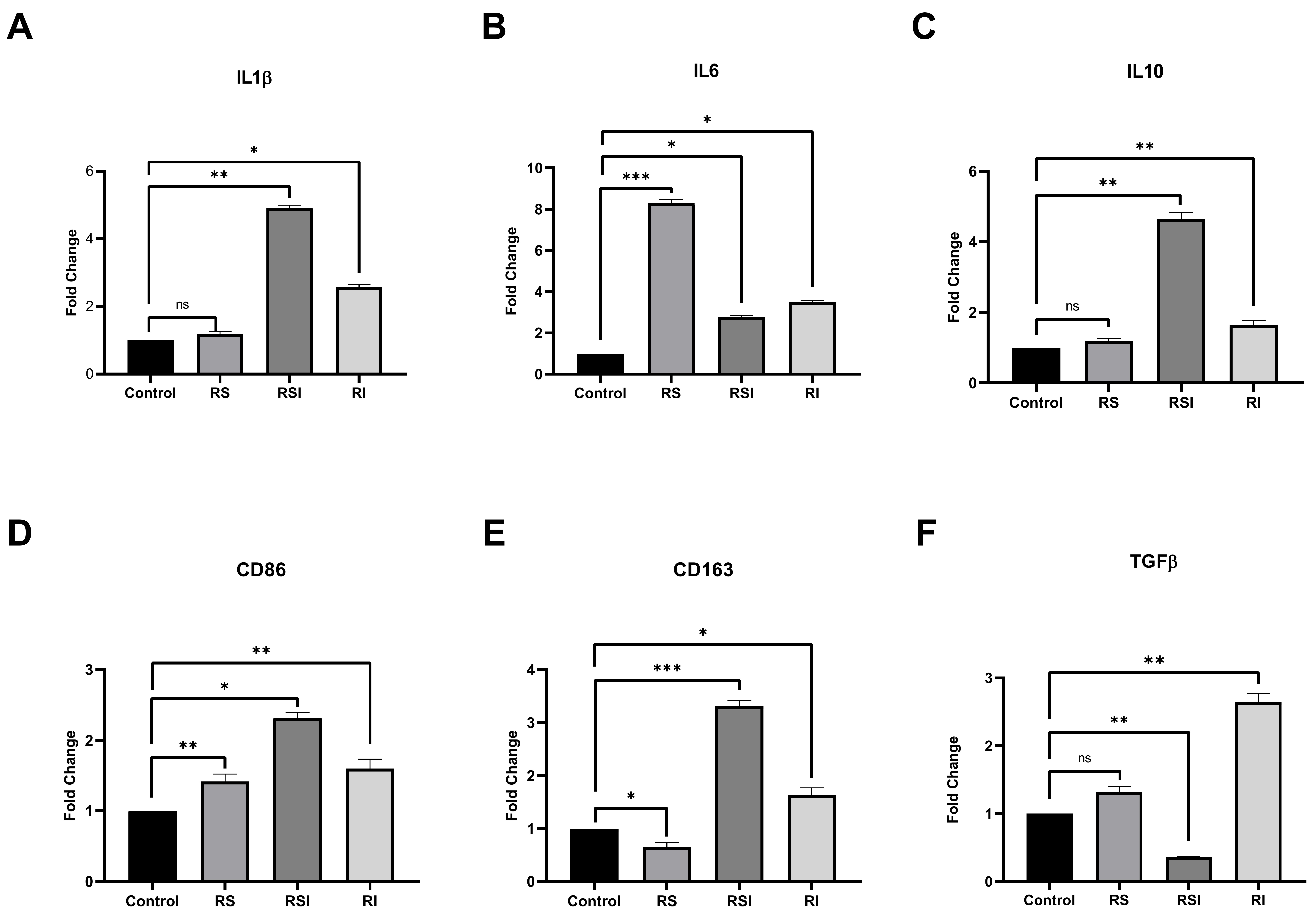 Expression changes of inflammation pathway-related 
genes. Effect of SF-G on IL1β (A), IL6 (B), IL10 (C), CD86 (D), CD163 
(E), and TGFβ (F) mRNA levels in RAW264.7 cells after 
treatment with IC20 for 24 hours. (Control, RAW264.7; RS, RAW264.7 + SF-G; 
RSI, RAW264.7 + SF-G + Ishikawa cells; RI, RAW264.7 + Ishikawa cells.) Target 
gene relative quantification was performed using 2−ΔΔCt 
technique. The housekeeping gene in qRT-PCR studies was GAPDH. The fold changes 
in control and treatment groups were shown in bar graphs using GraphPad Prism 
software version 8.0.2 (California, USA). The data was examined using student’s 
t-test. A p-value of < 0.05 was considered statistically 
significant. *p < 0.05, **p < 0.01 and ***p < 
0.001. p-values > 0.05 were reported as statistically not significant 
(ns). All groups had three biological replicates. IL1β, 
interleukin 1 beta; IL6, interleukin 6; IL10, interleukin 10; 
TGFβ, transforming growth factor beta; CD86, cluster of 
differentiation 86; CD163, cluster of differentiation 163.
