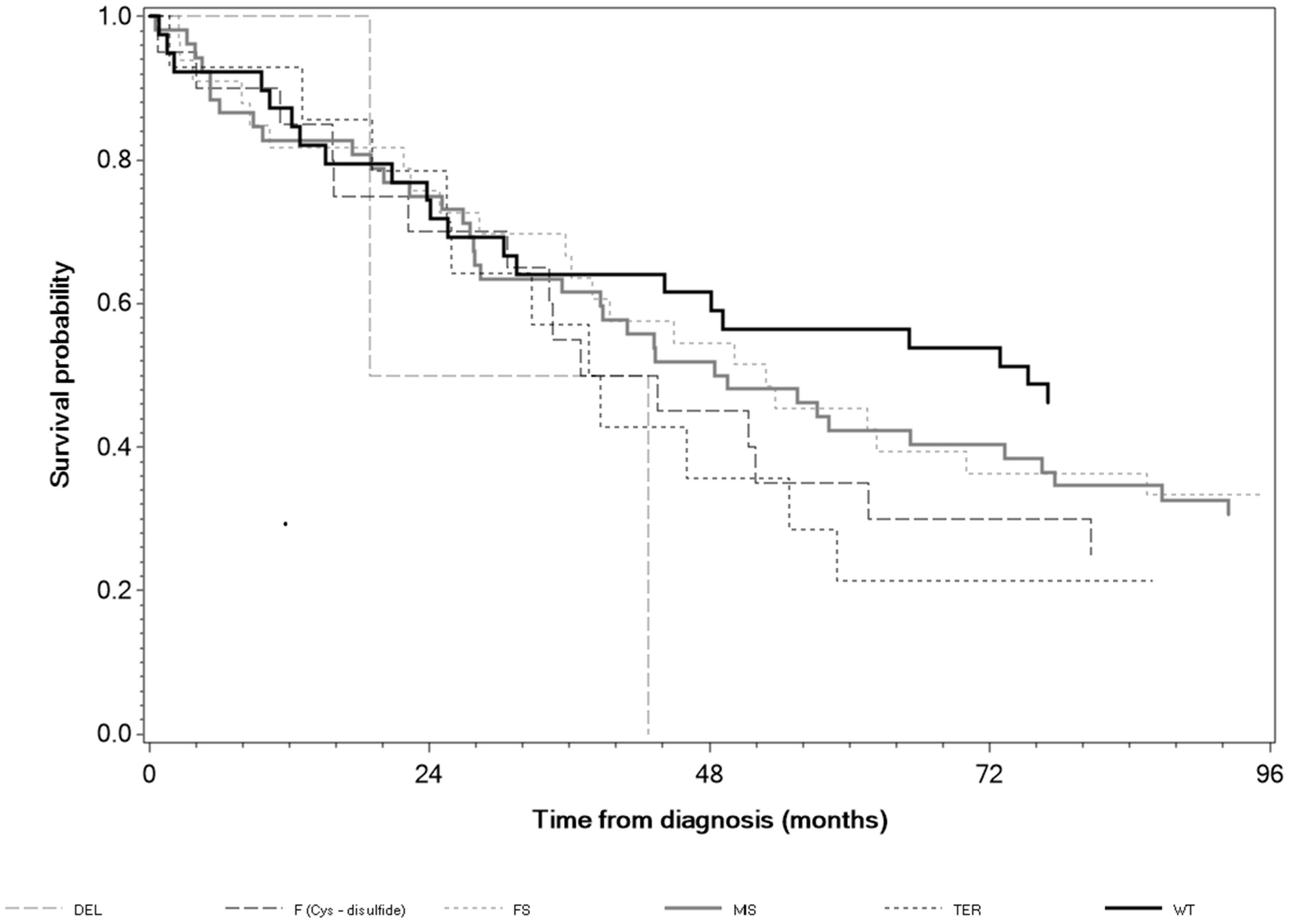 Kaplan-Meier overall survival curves for patients being TP53
wild-type (WT) and TP53 mutated. (N = 163, log rank p = 0.10 for F
(Cys-disulfide, p = 0.08 for FS, p = 0.039 for missense,
p = 0.015 for termination, all versus WT)). Note that for deletion, n =
2. DEL: Deletion; FS: Frameshift; MS: Missense; TER: Termination.