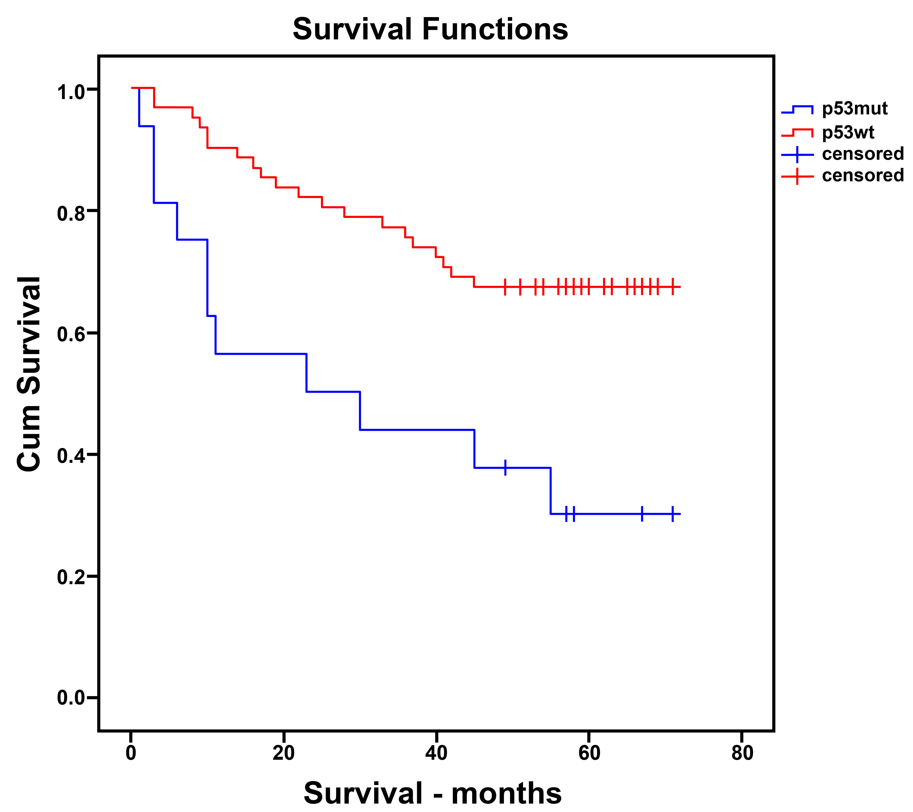 Overall survival of patients with endometrial carcinoma
according to p53 status (p53wt vs. p53mut). Kaplan-Meier analysis
demonstrated significantly reduced OS in the p53mut group compared with the p53wt
group (log-rank χ2 = 6.706, p = 0.01). Censored observations
are indicated by tick marks. The label “p53mut” used in the figure corresponds
to aberrant p53 expression detected by immunohistochemistry (p53 abnormal
pattern). Detailed survival estimates are presented in Table 4. p53wt:
p53 Wild-type; p53mut: p53 Mutant.