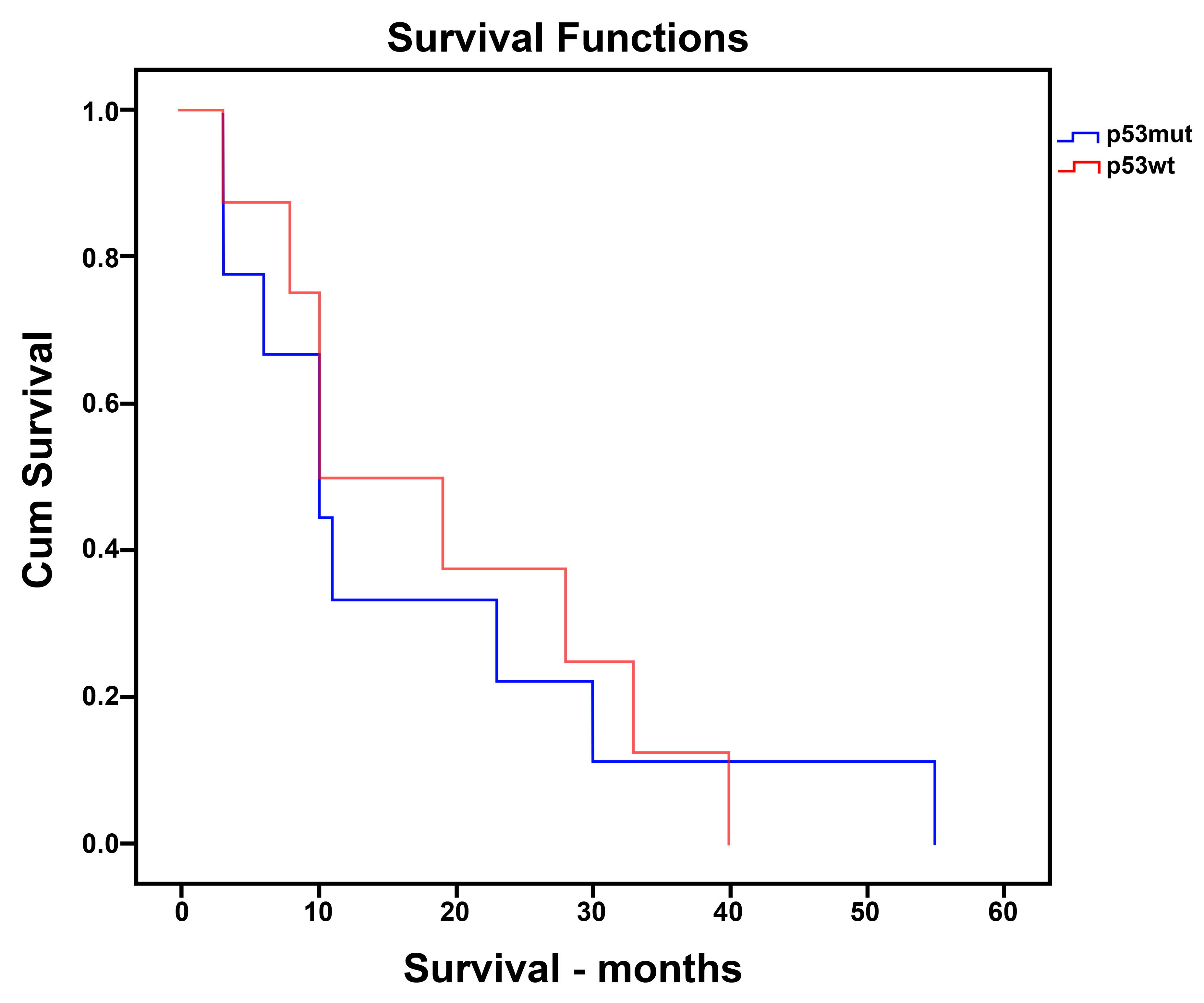 Disease-specific survival of patients with endometrial
carcinoma according to p53 status (p53wt vs. p53mut). Kaplan-Meier
analysis demonstrated significantly reduced DSS in the p53mut group compared with
the p53wt group (log-rank χ2 = 16.841, p = 0.001). The label
“p53mut” used in the figure corresponds to aberrant p53 expression detected by
immunohistochemistry (p53 abnormal pattern). Detailed survival estimates are
presented in Table 4. p53wt: p53 Wild-type; p53mut: p53 Mutant.